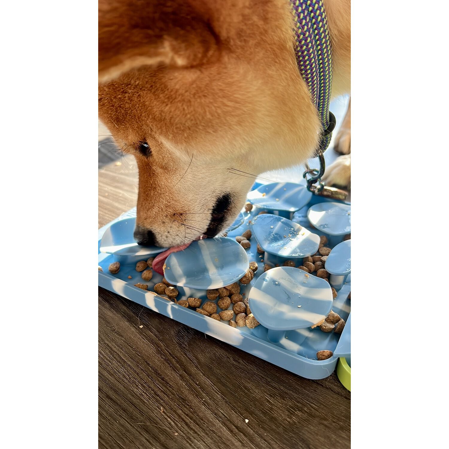 Tall Tails Rock Foraging Mat Interactive Dog Slow Feeder Mat