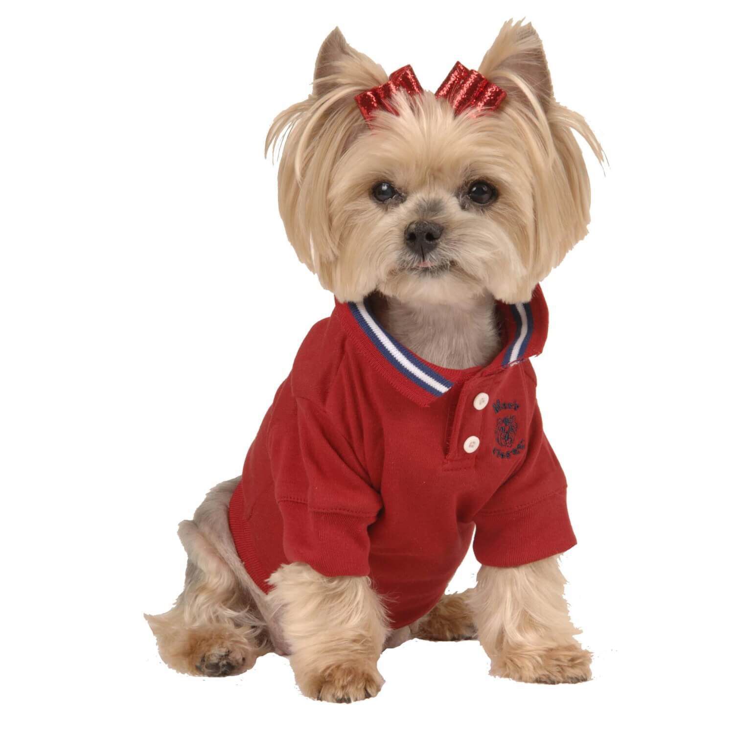 Pet supermarket dog clothes discount