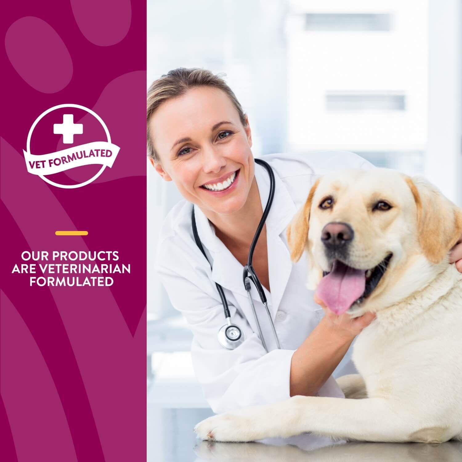 Naturvet Glucosamine Ds Plus Moderate Joint Care Supplement Tabs For Dogs & Cats