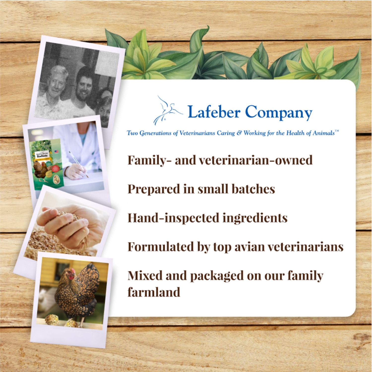Lafeber Booster Berries Radiate Chicken Food Supplement, 10 Oz