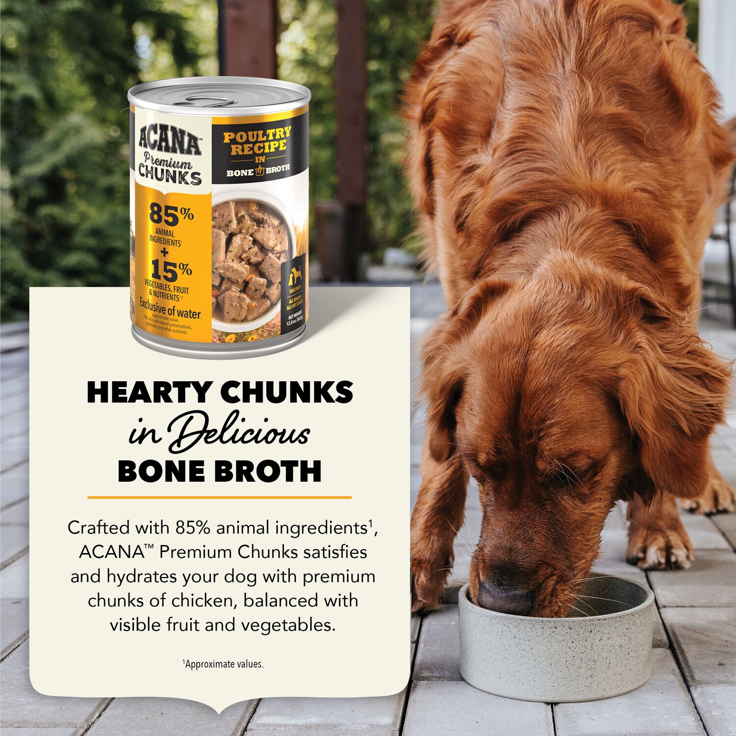 Acana Premium Chunks Poultry Recipe In Bone Broth Wet Dog Food, 12.8-Oz