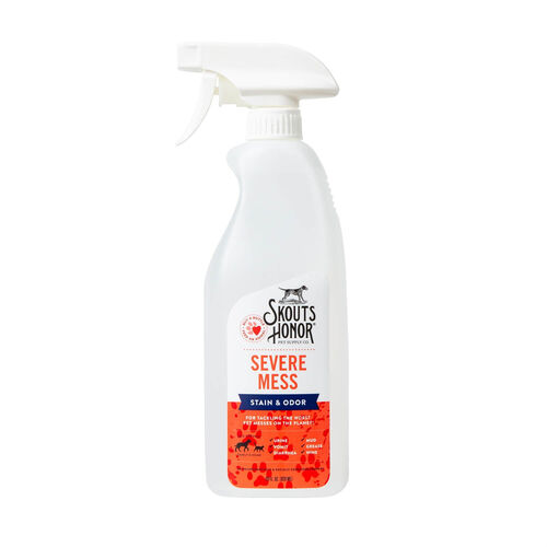 Severe Mess Stain & Odor