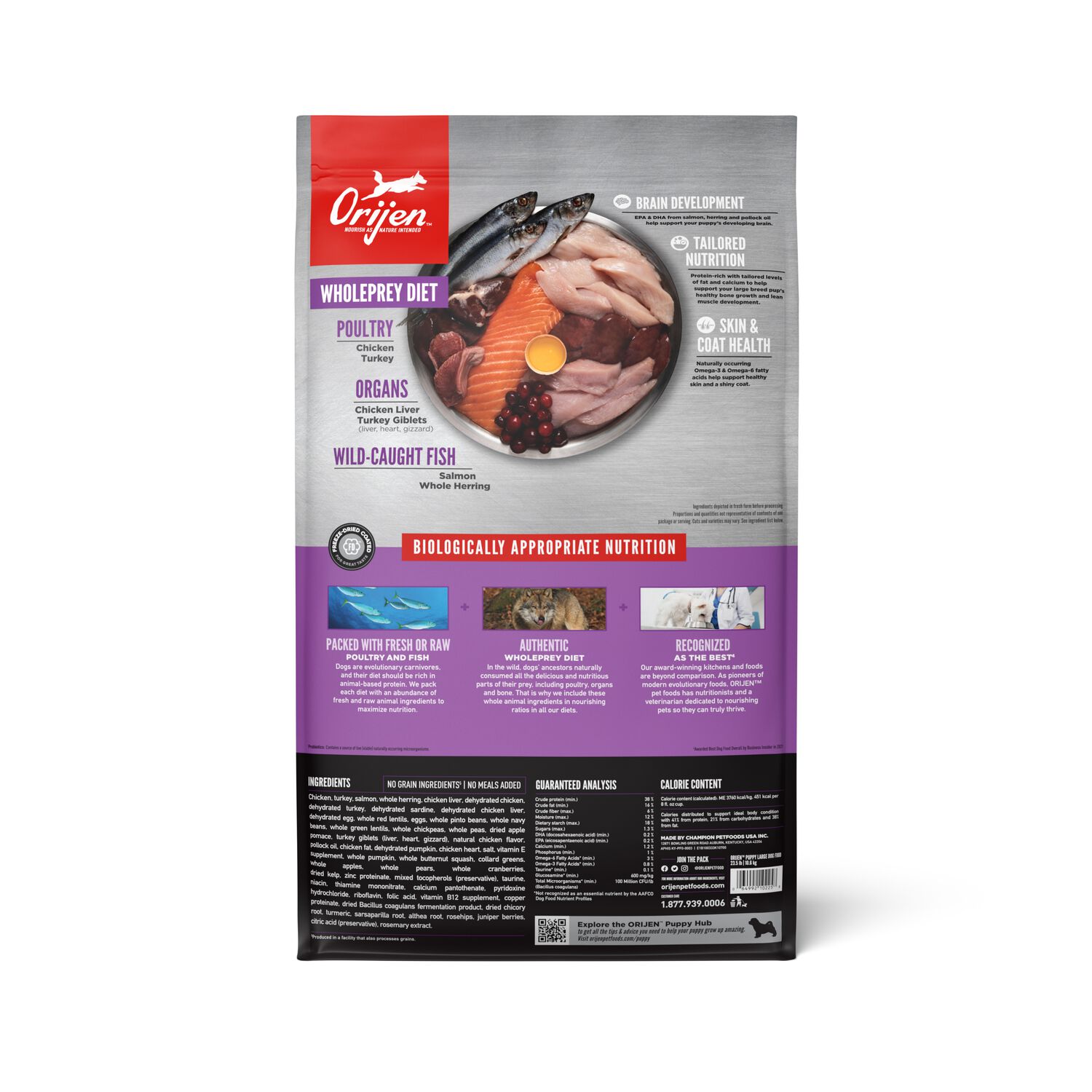 Orijen Large Breed Puppy Grain-Free High-Protein Dry Dog Food, 23.5-Lb Bag