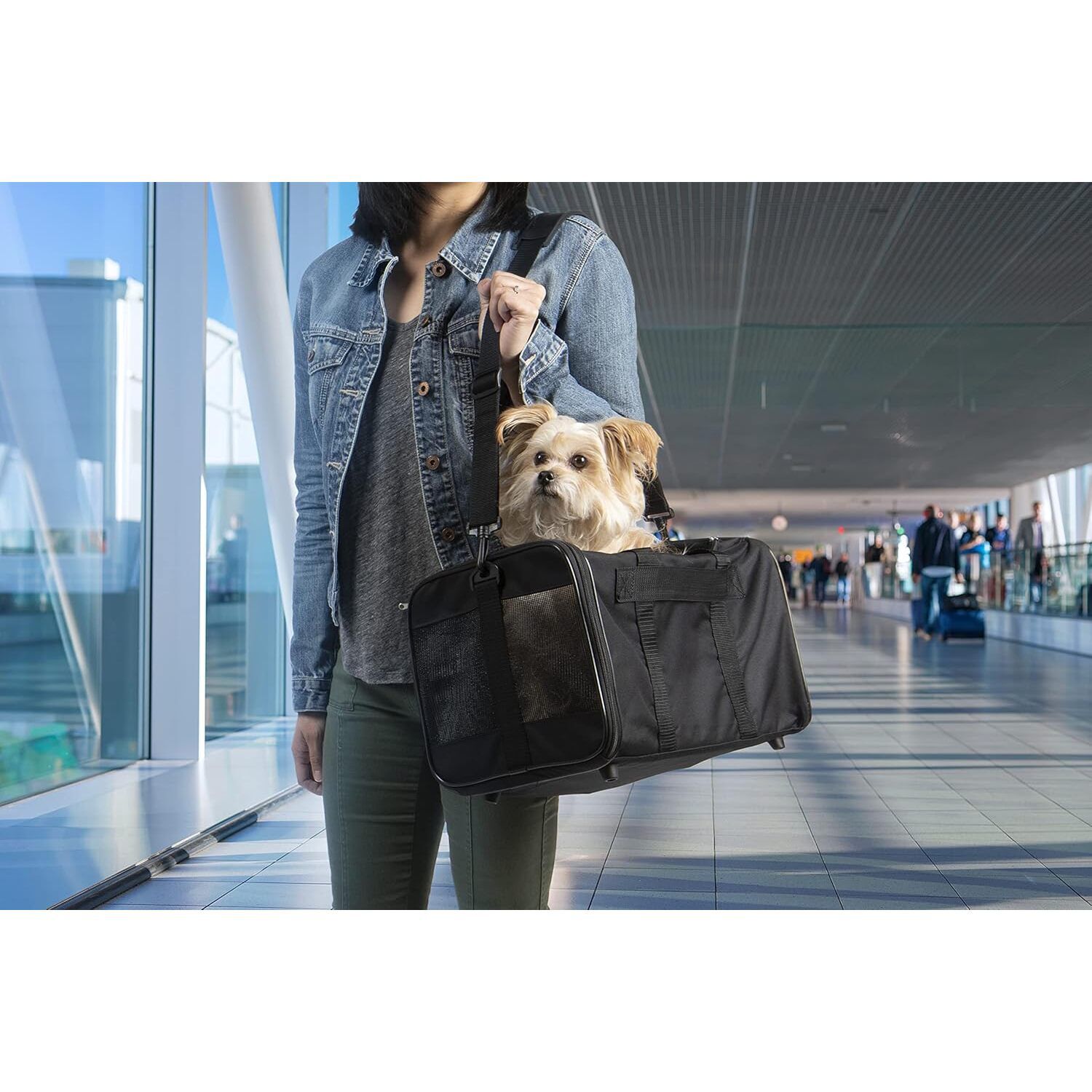 Trustypup Easy Explorer Travel Pet Carrier, Airline Approved & Guaranteed On Board, Black, Medium