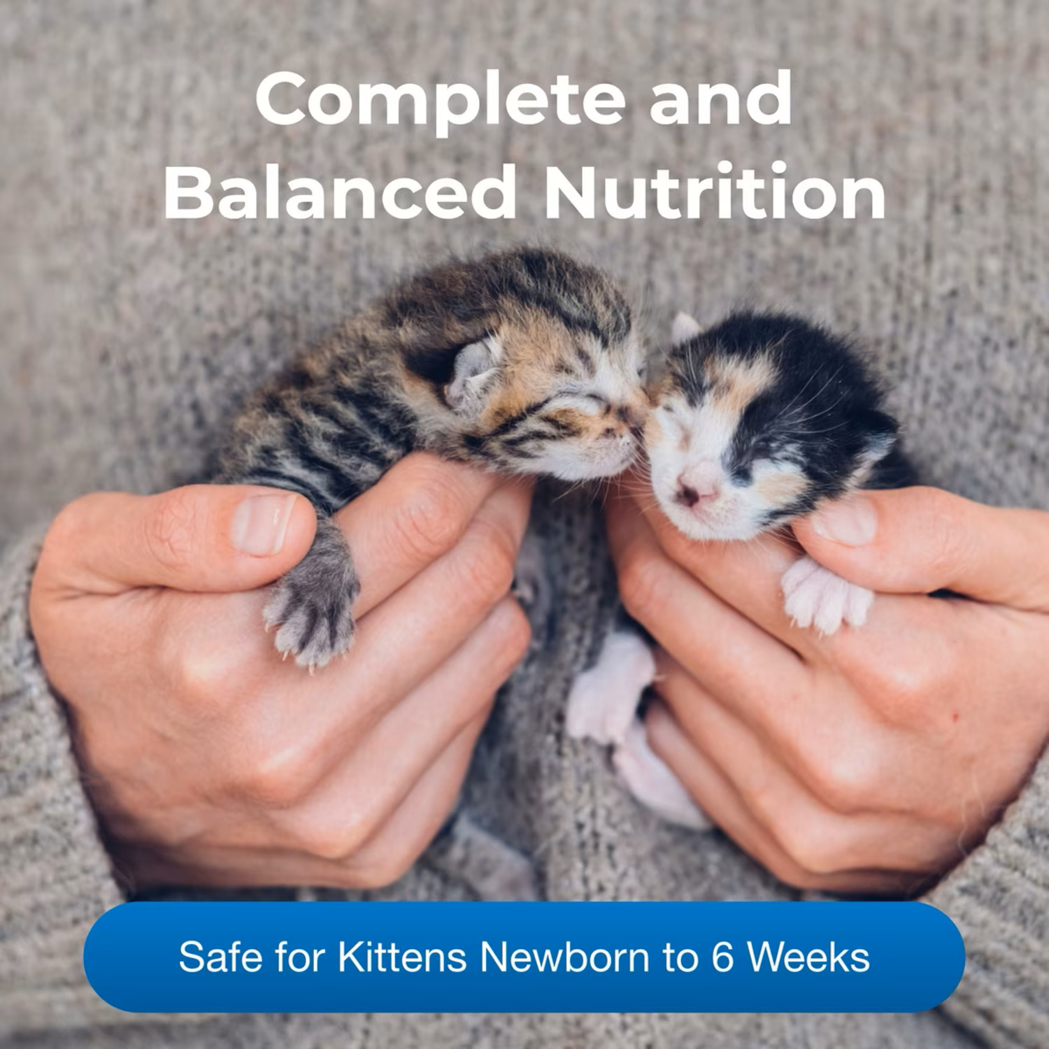 Petag Kmr Kitten Milk Replacer Powder For Kittens, 6-Oz Can