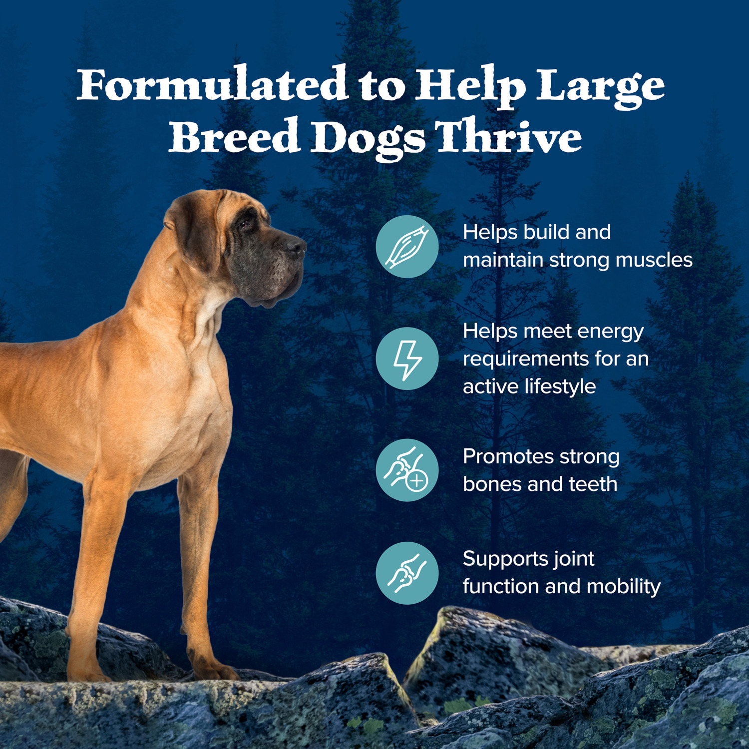 Blue Buffalo Wilderness High Protein Large Breed Adult Dry Dog Food With Wholesome Grains, Salmon, 24Lb