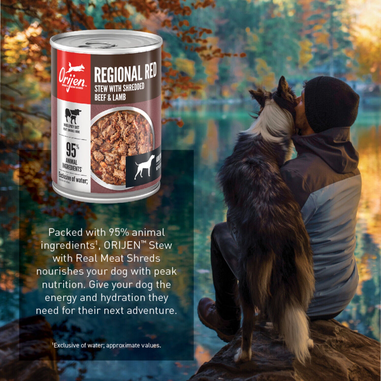 Orijen Real Meat Shreds Wet Dog Food, Regional Red Stew Recipe 12-Pack - 12.8-Oz Cans