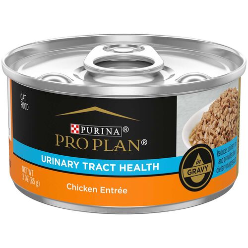 Focus Adult Urinary Tract Health Formula Chicken Entree In Gravy Cat Food