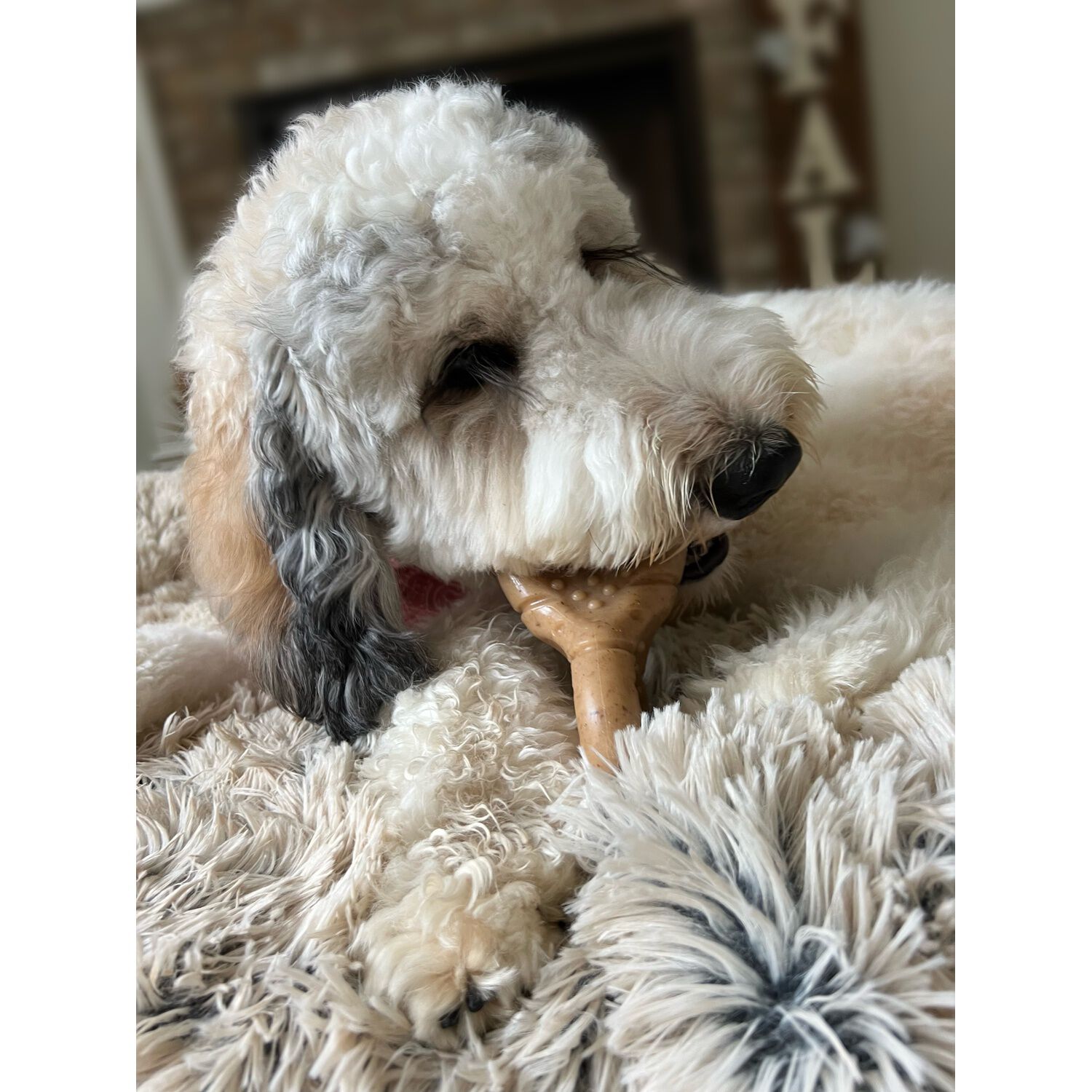 Tall Tails Wobbler Textured Bacon Scented Dog Chew Toy, 5" Small