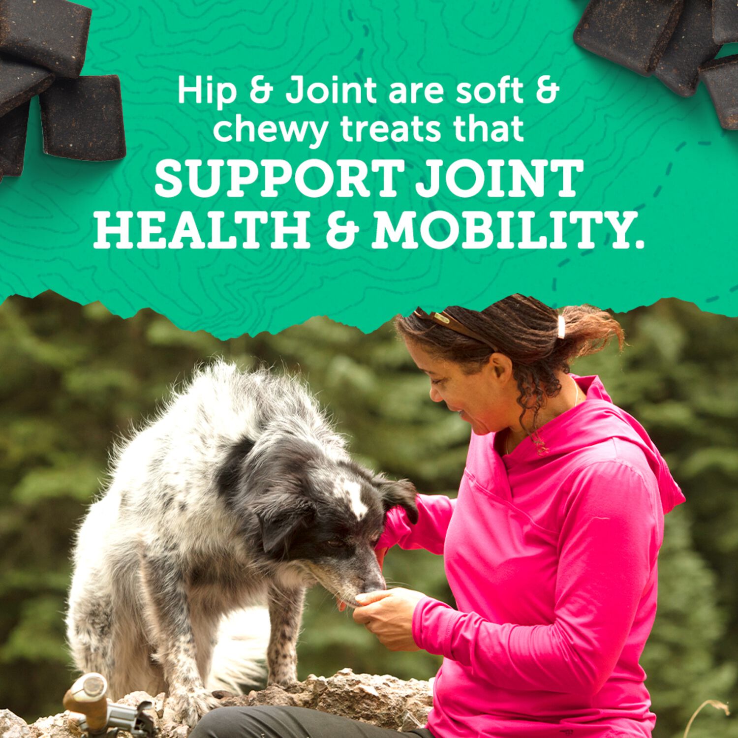 Zuke&rsquo;S Hip And Joint Support Chicken Recipe Soft & Chewy Senior Dog Treats, 6-Oz Bag