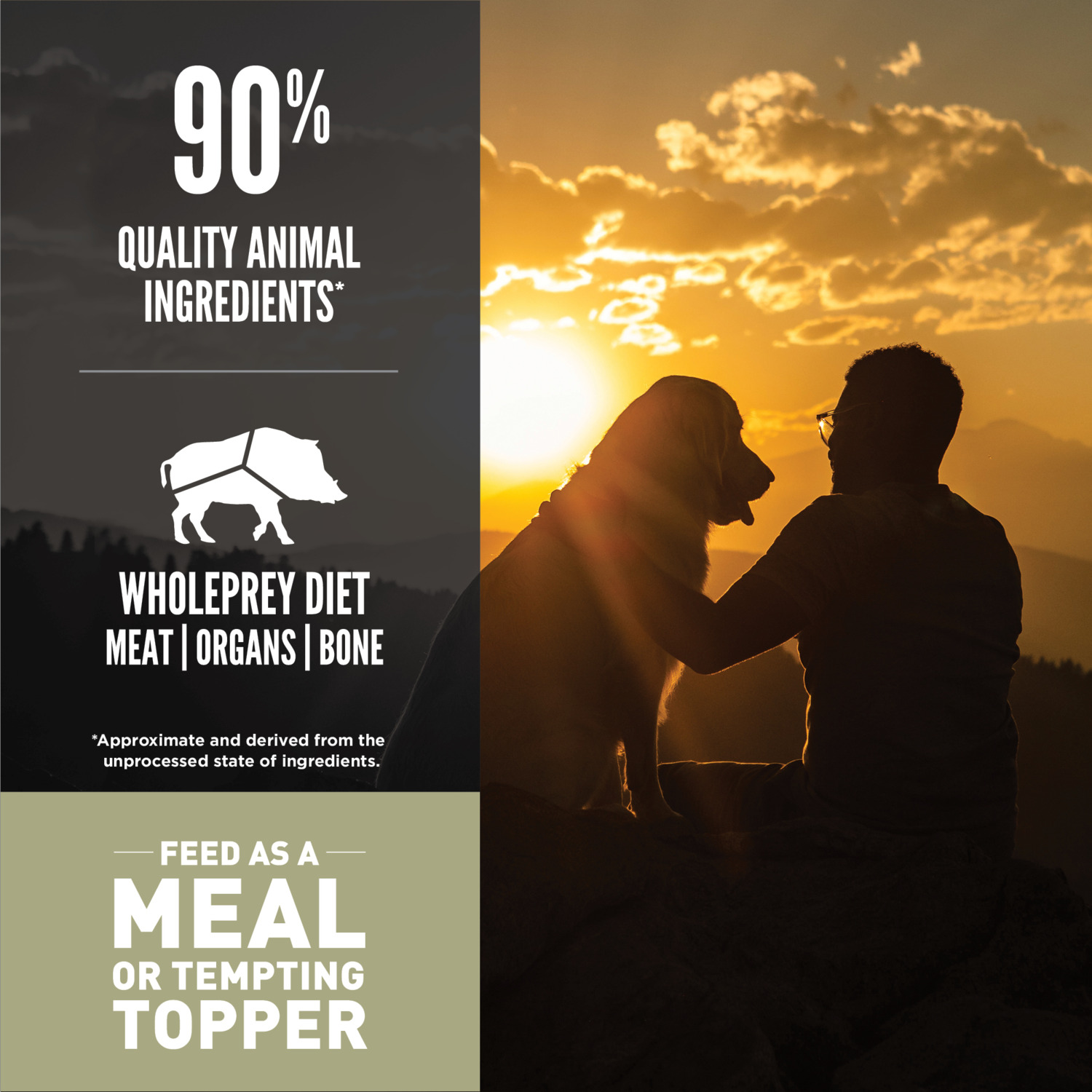 Orijen Grain-Free High-Protein Freeze-Dried Dog Food & Topper, Tundra Recipe, 16-Oz