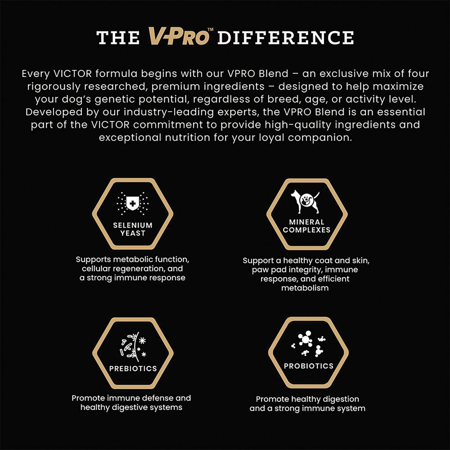 Victor Classic Professional Dry Dog Food