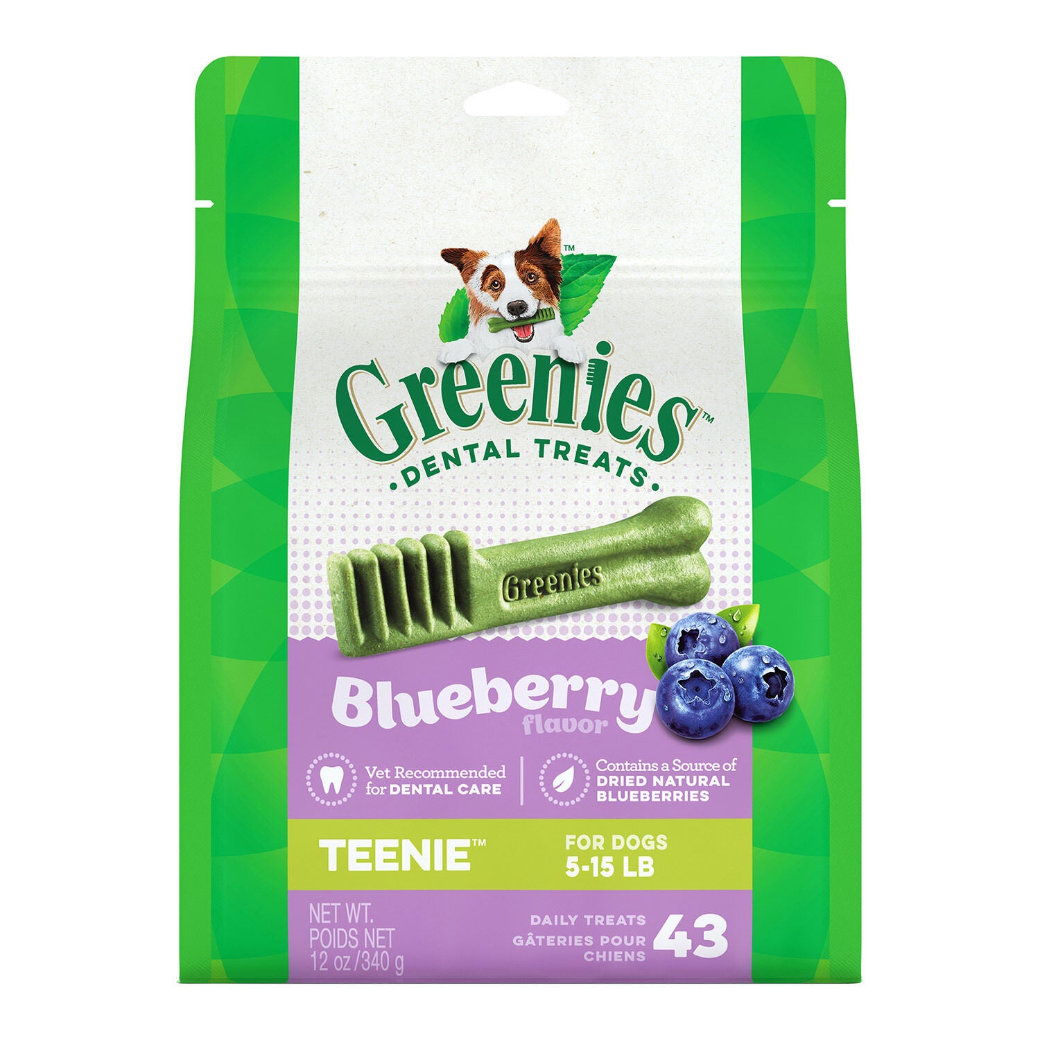 Greenies Blueberry Flavor Dental Treats Teenie