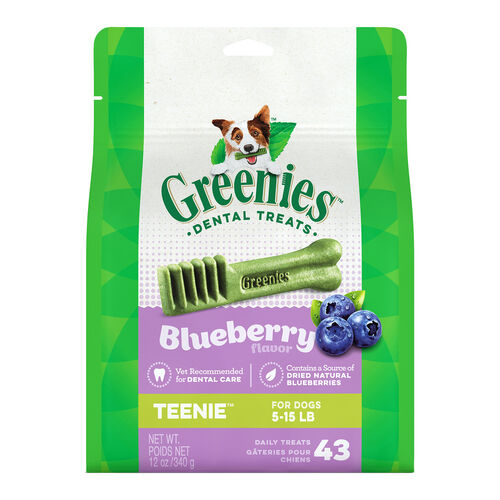 Blueberry Flavor Dental Treats Teenie