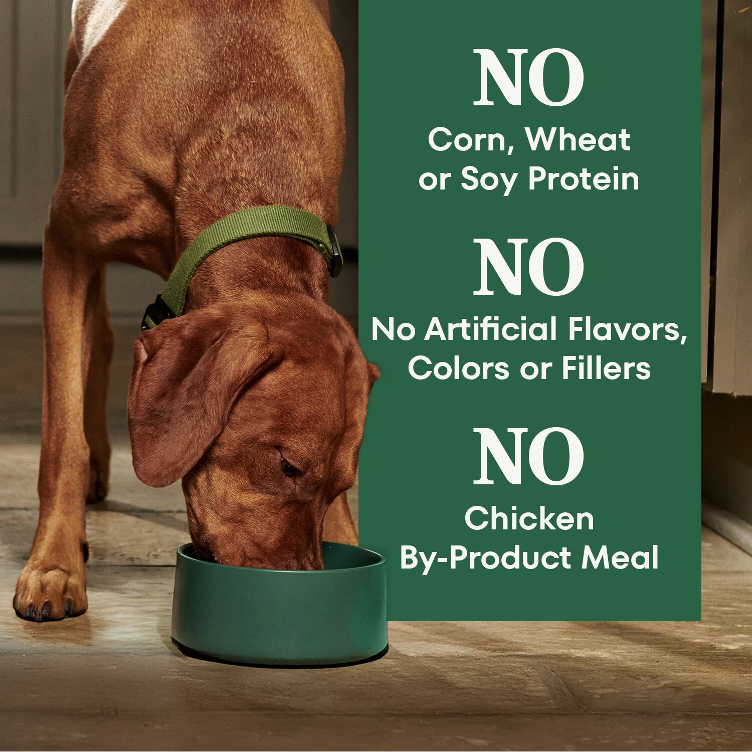 Nutro Natural Choice Adult Chicken, Whole Brown Rice & Sweet Potato Recipe Dog Food, 30-Lb Bag