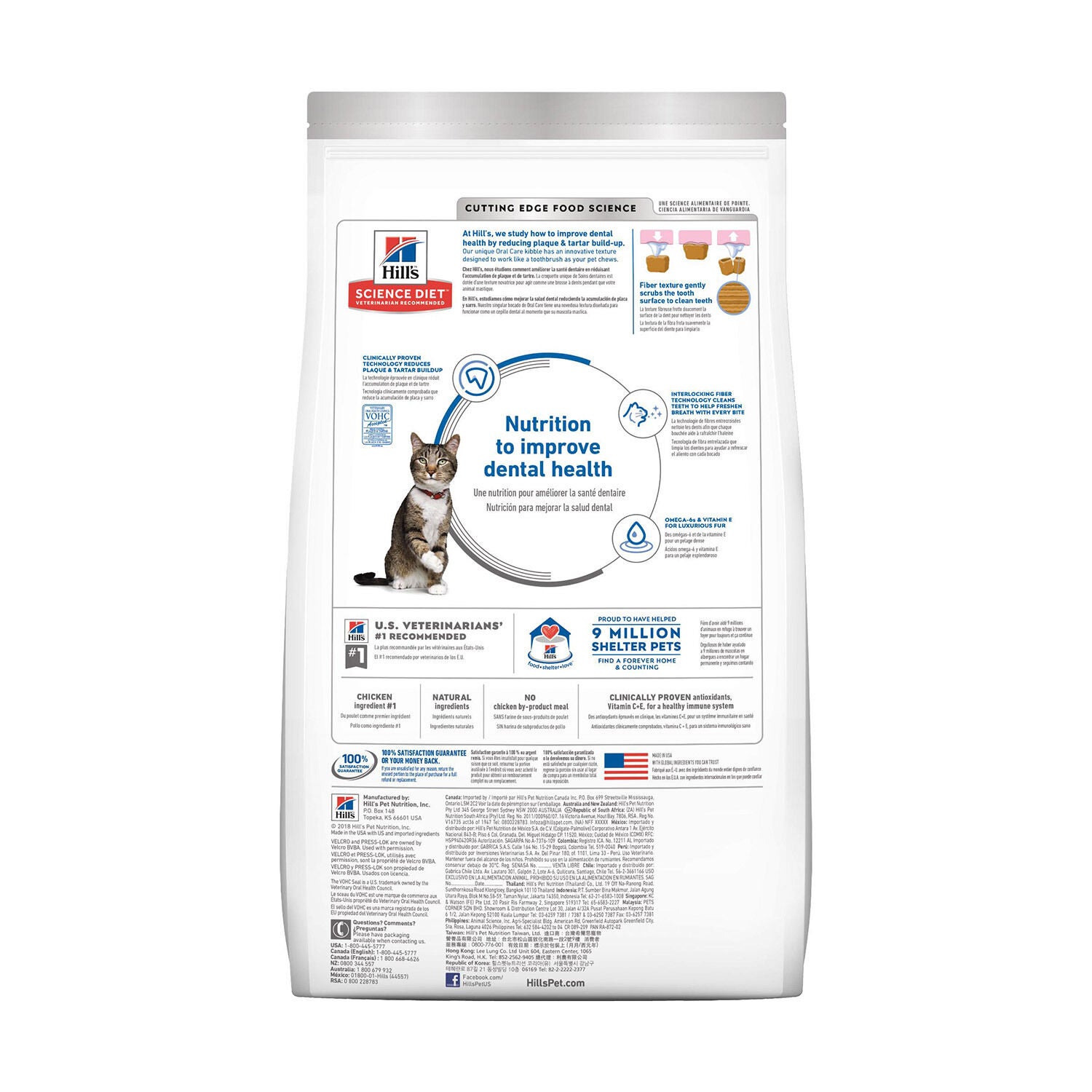 Cat food for teeth health cheap