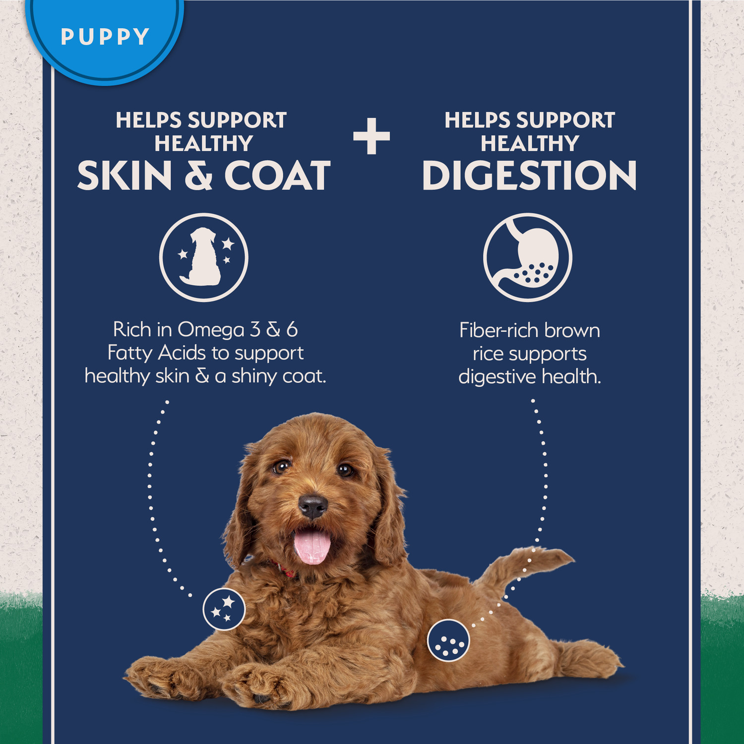 Natural Balance Limited Ingredient Puppy Dry Dog Food, Lamb & Brown Rice Recipe, 24-Lb