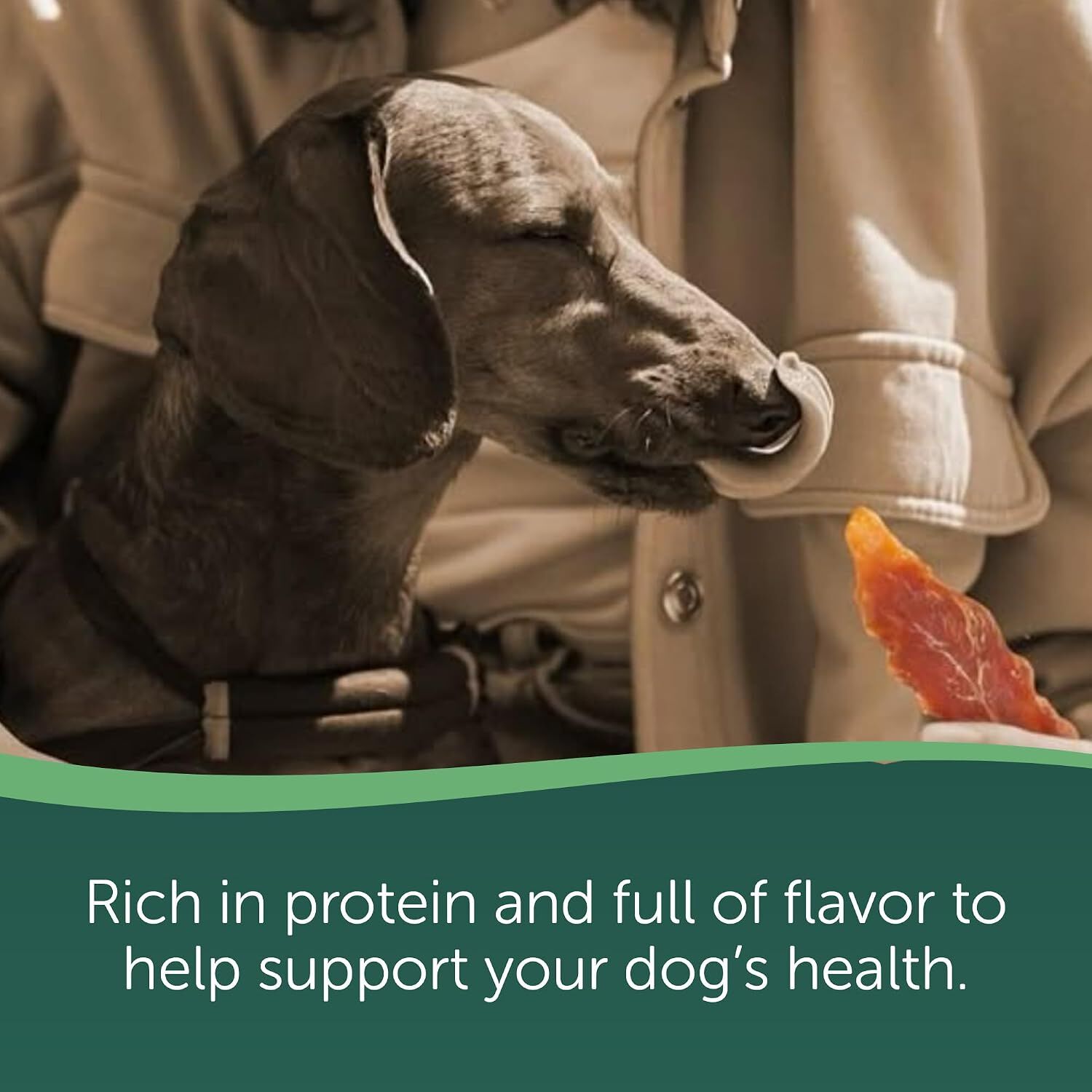 Healthfuls Chicken Tenders Limited Ingredient Dog Treats, 11-Oz Bag