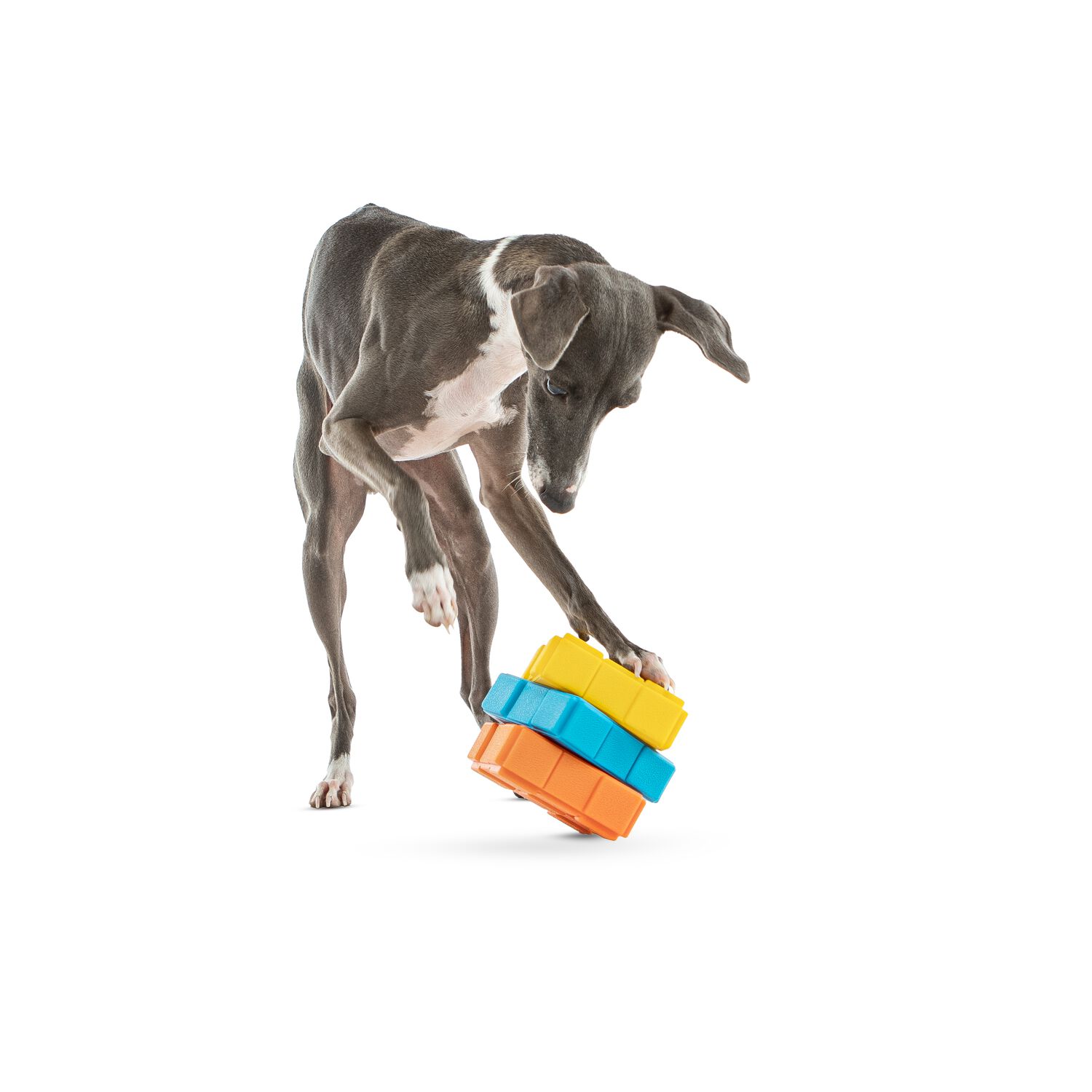 Guru Dog-X-Cube Interactive Treat Dispensing Puzzle Dog Toy, Medium