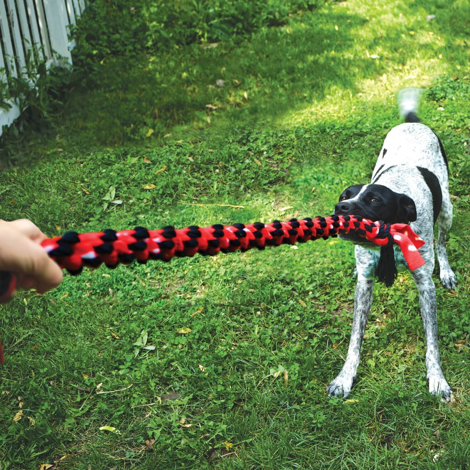 Kong Signature Rope Dual Knot Rope & Tug Dog Toy, 20"