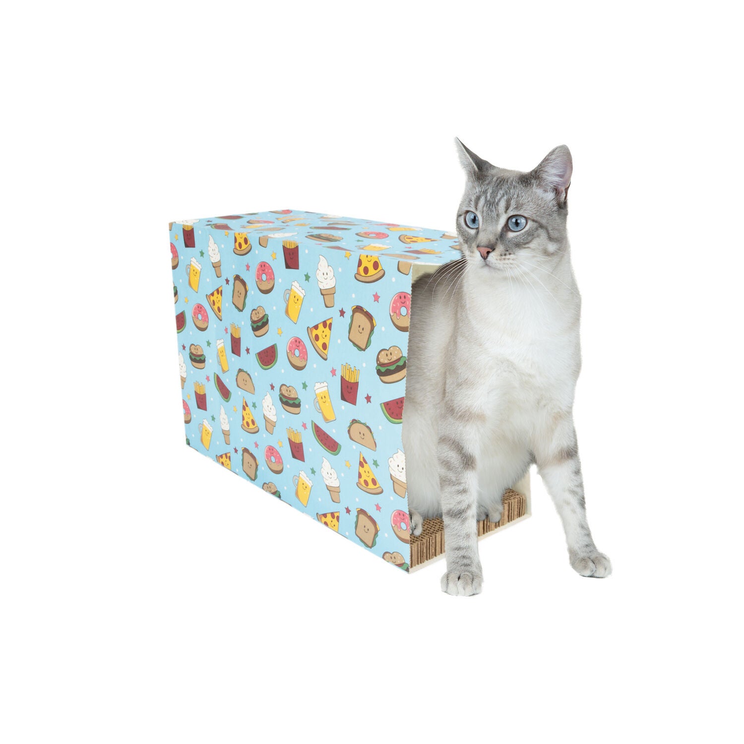 Bailey & Bella Blue Food Icons Cat Scratcher In A Bag Cat Toy