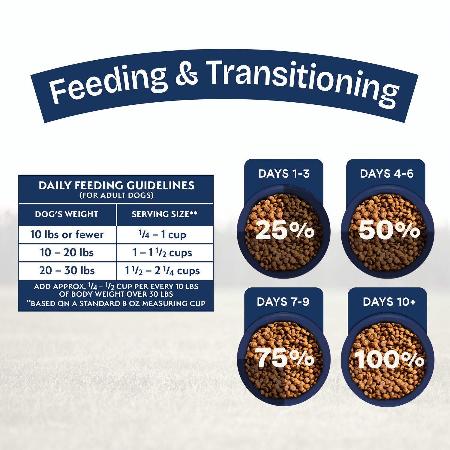 Natural Balance Health Protection Small Breed Dry Dog Food, Chicken, Brown Rice & Pumpkin Recipe, 4-Lbs.