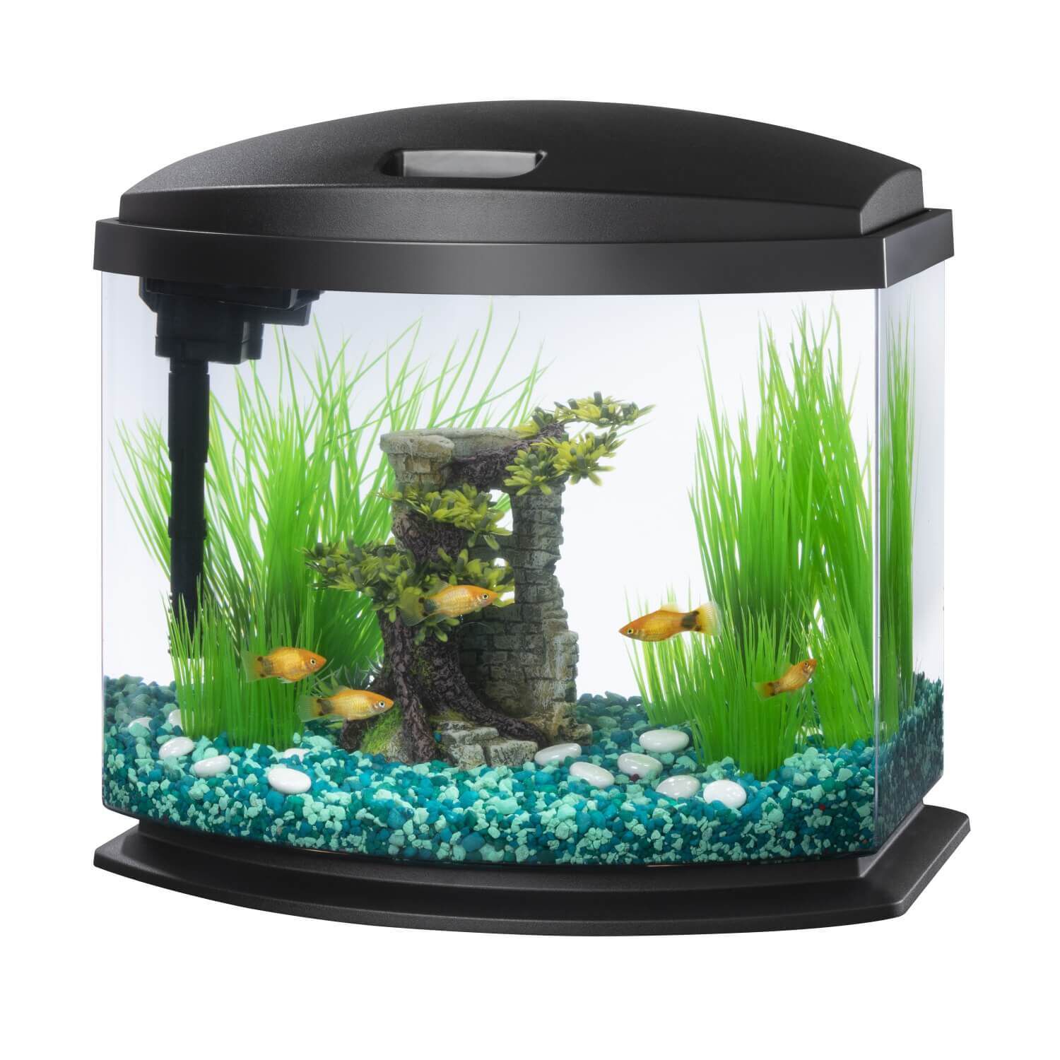 Fish aquarium kits top