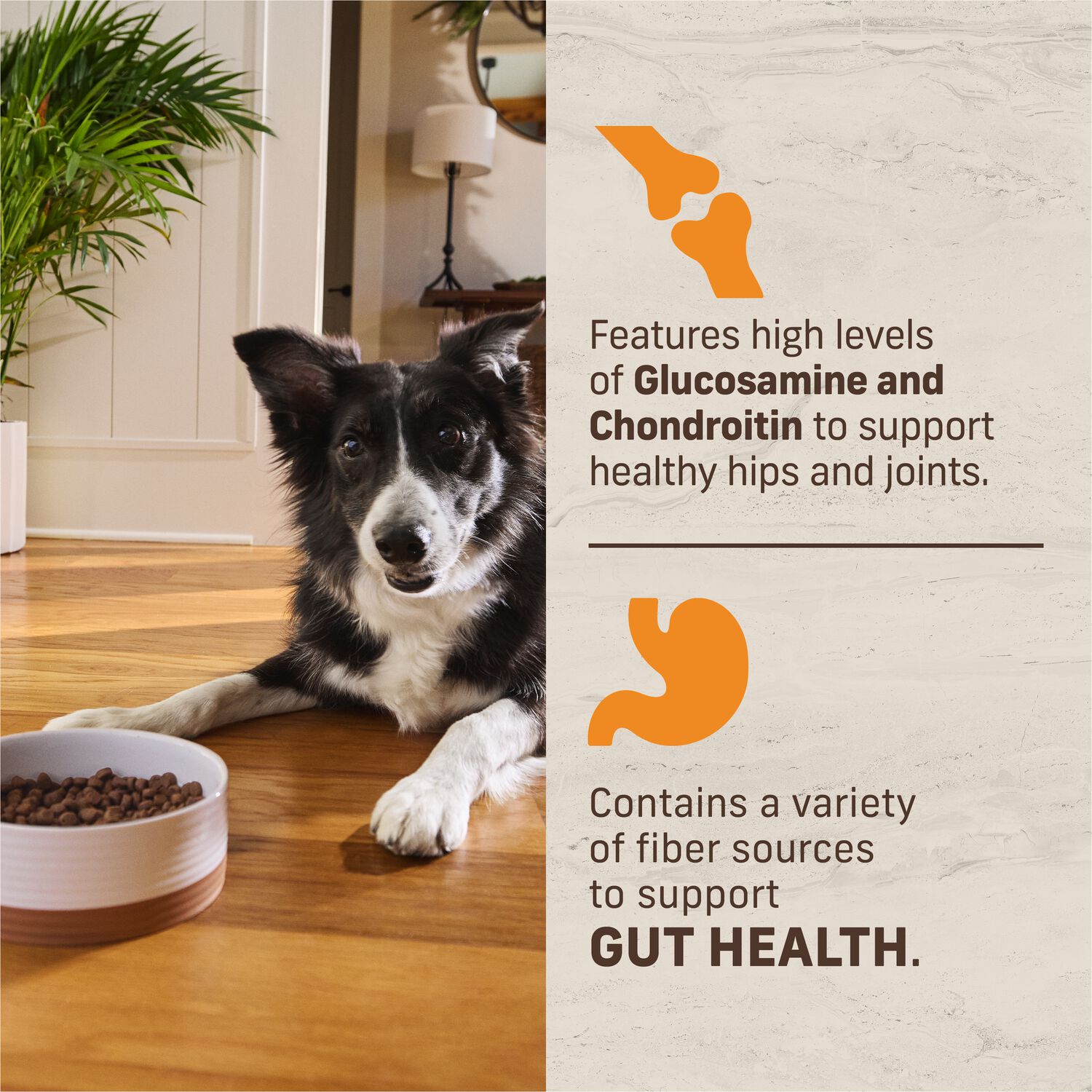 Merrick Kitchen Comforts Premium Adult Dry Dog Food With Ancient Grains,  Real Chicken And Brown Rice Recipe, 22-Lb Bag