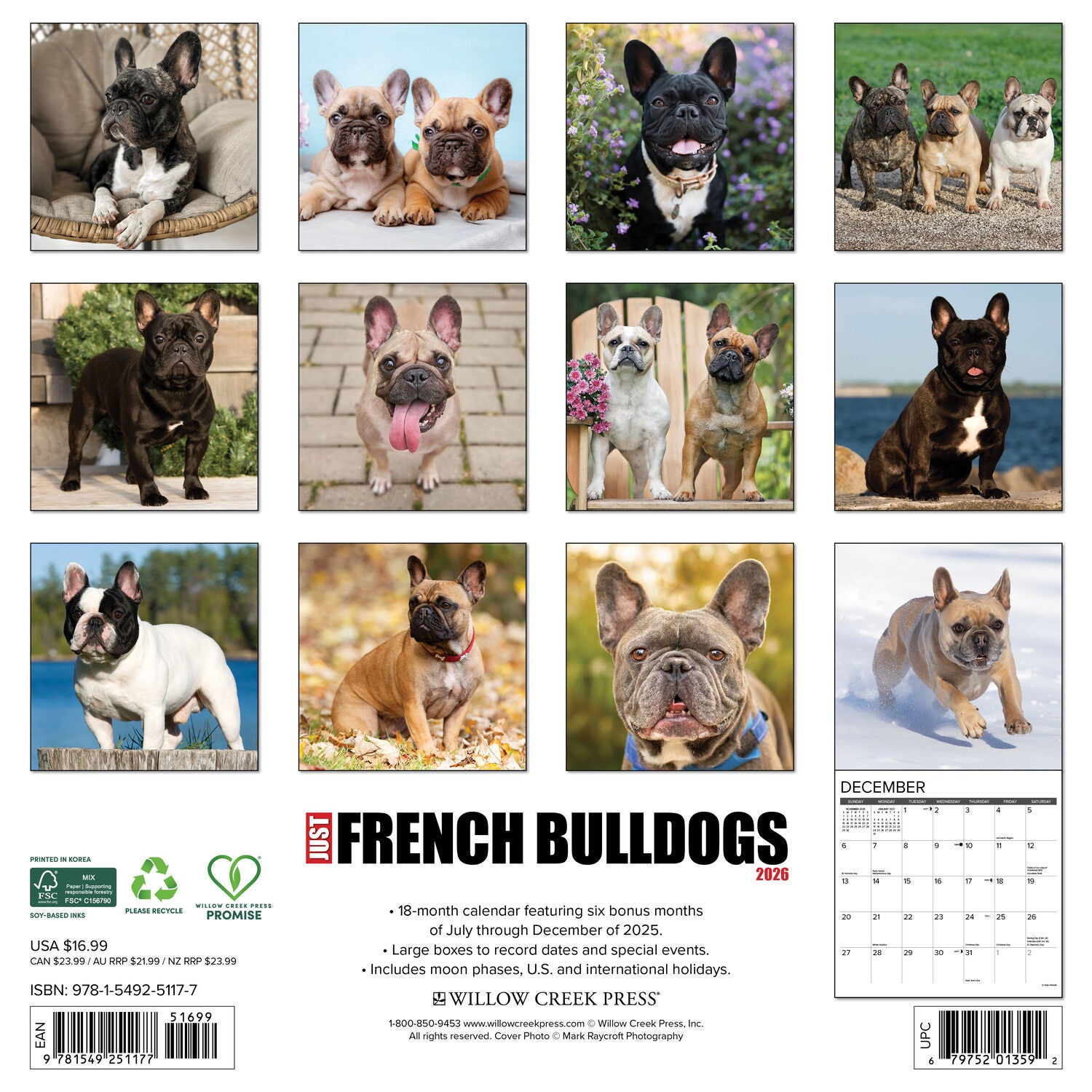 Willow Creek Press 2026 French Bulldogs Wall Calendar