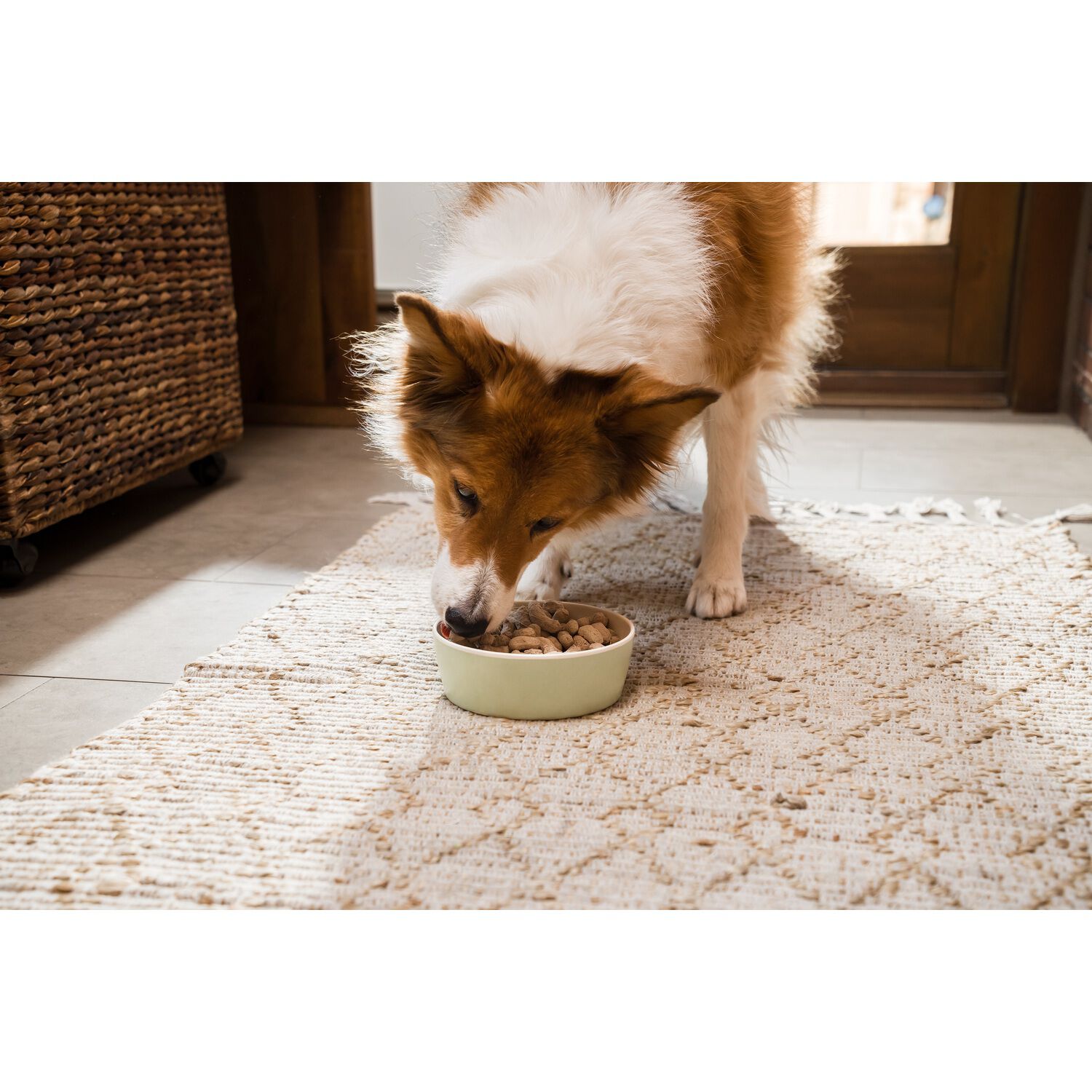 Open Farm Freeze Dried Raw Surf &Turf Recipe Dog Food & Food Topper, 13.5Oz