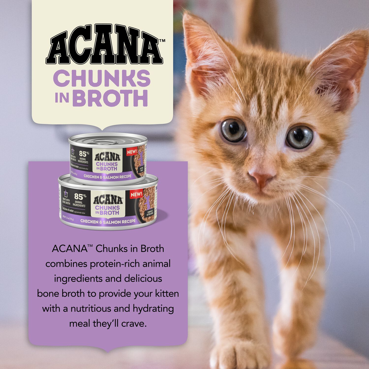 Acana Chunks In Broth Wet Cat Food, Chicken & Salmon Recipe For Kittens, 3-Oz Pack Of 12