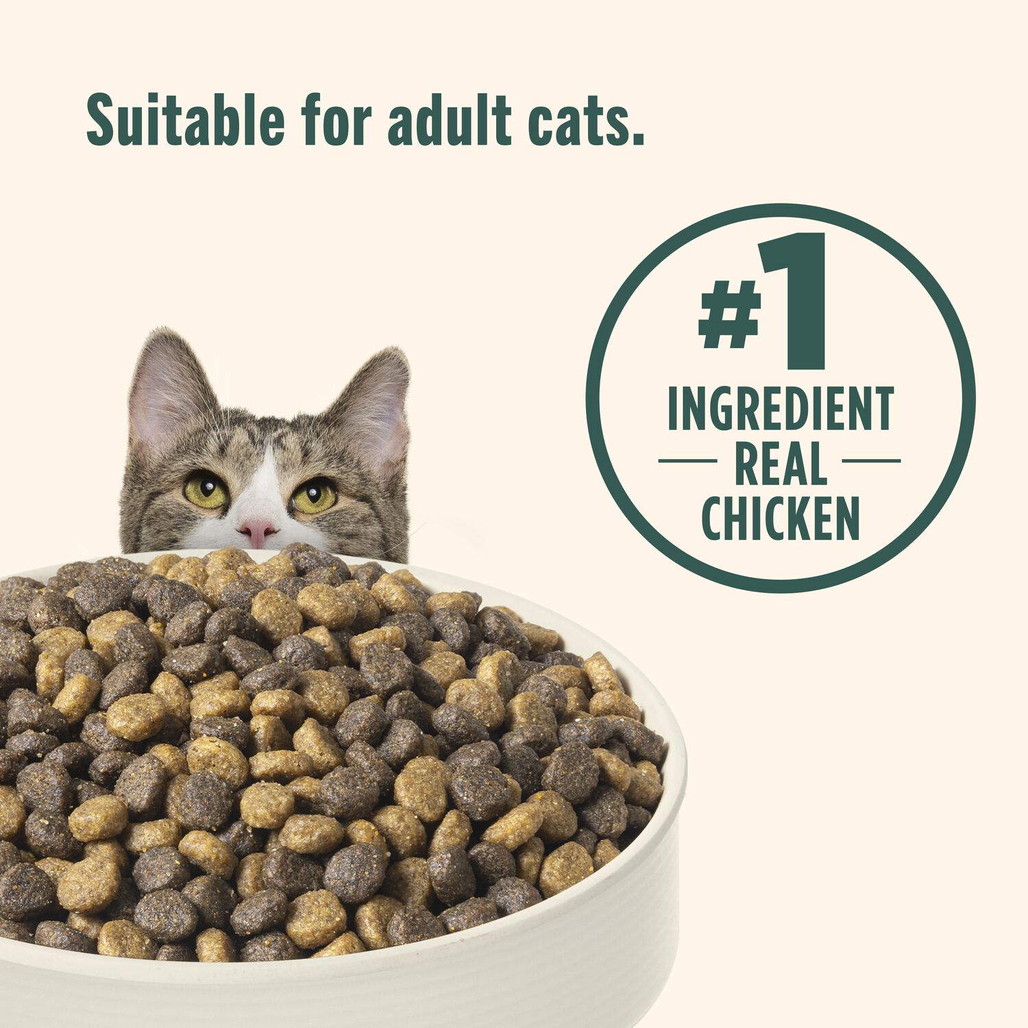 Rachael Ray&reg; Nutrish&trade; Indoor Complete Chicken, Lentils & Salmon Recipe Dry Cat Food, 6-Lb Bag