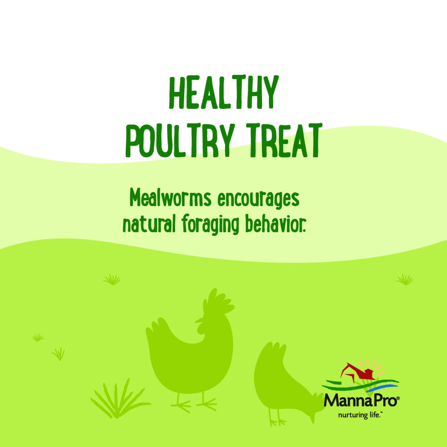 Manna Pro Farmhouse Favorites Mealworm Chicken Treat, 2Lb