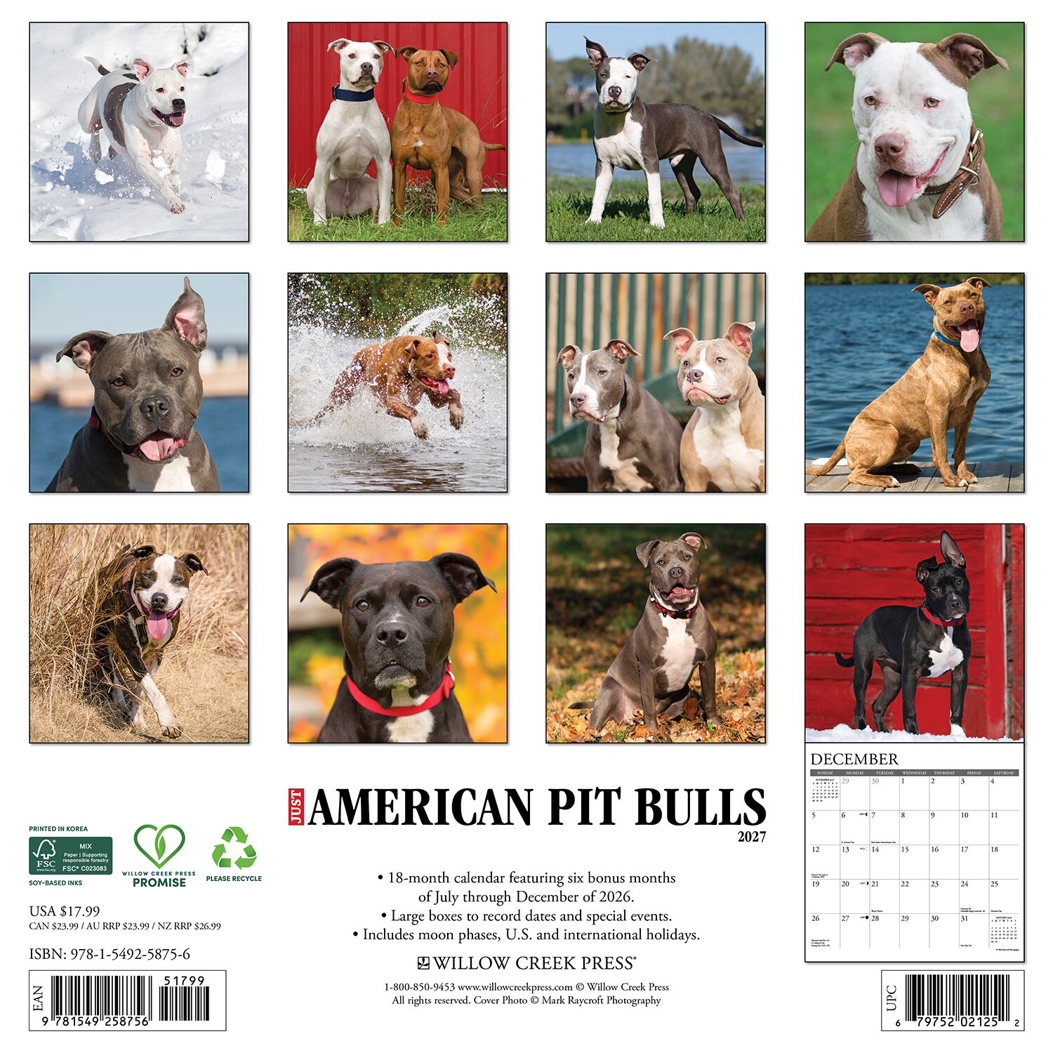 Willow Creek Press Just American Pit Bull Terriers 2027 Wall Calendar