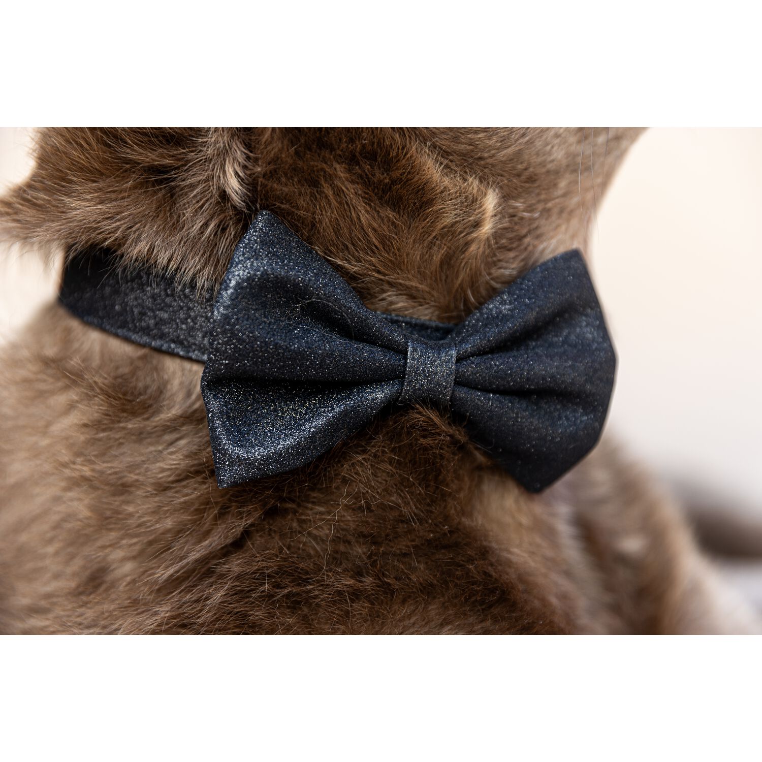 Pink Papyrus Black Glitter Sparkly Pet Bow Accesory, Large