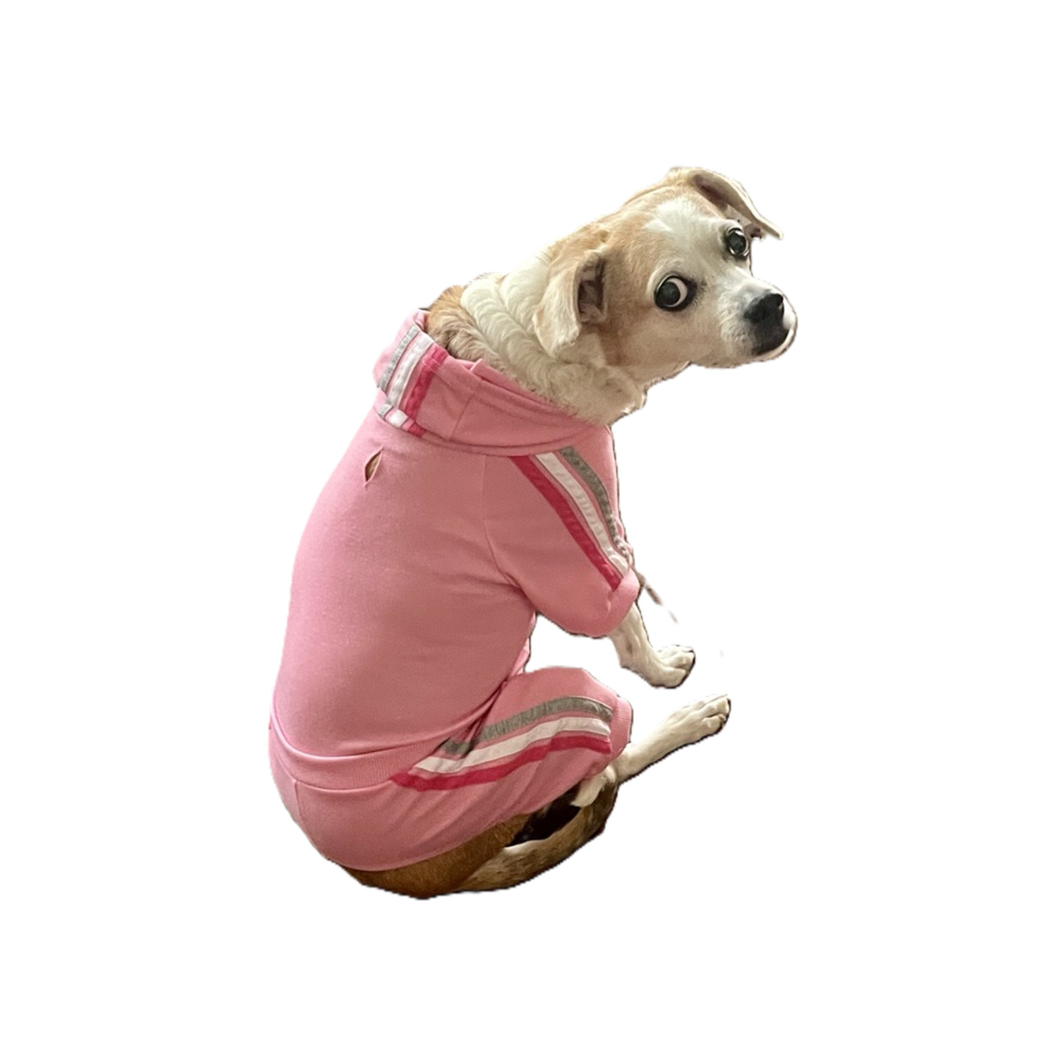 Fabdog Pink Jersey Jogger Dog Track Suit, Extra Large