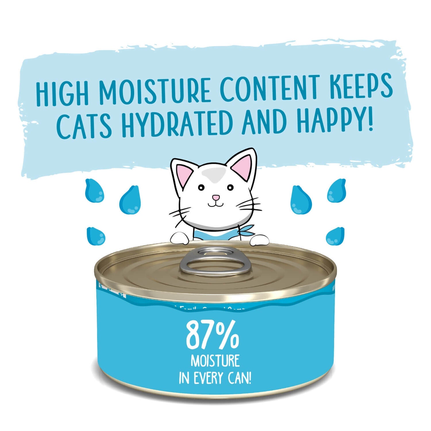 Weruva Classic Cat Pat&eacute; Press Your Lunch! With Chicken Wet Cat Food
