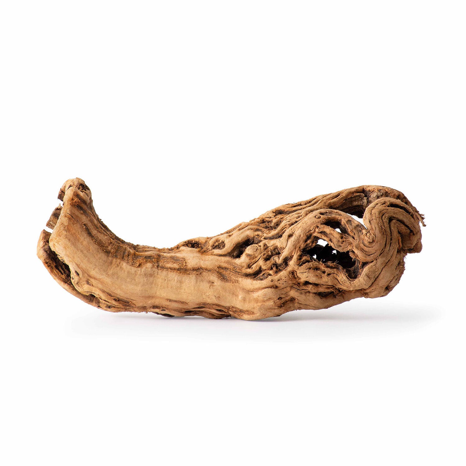 Gal&aacute;pagos Burro Wood, Grapevine Hollow Branch, Natural, 19-24In