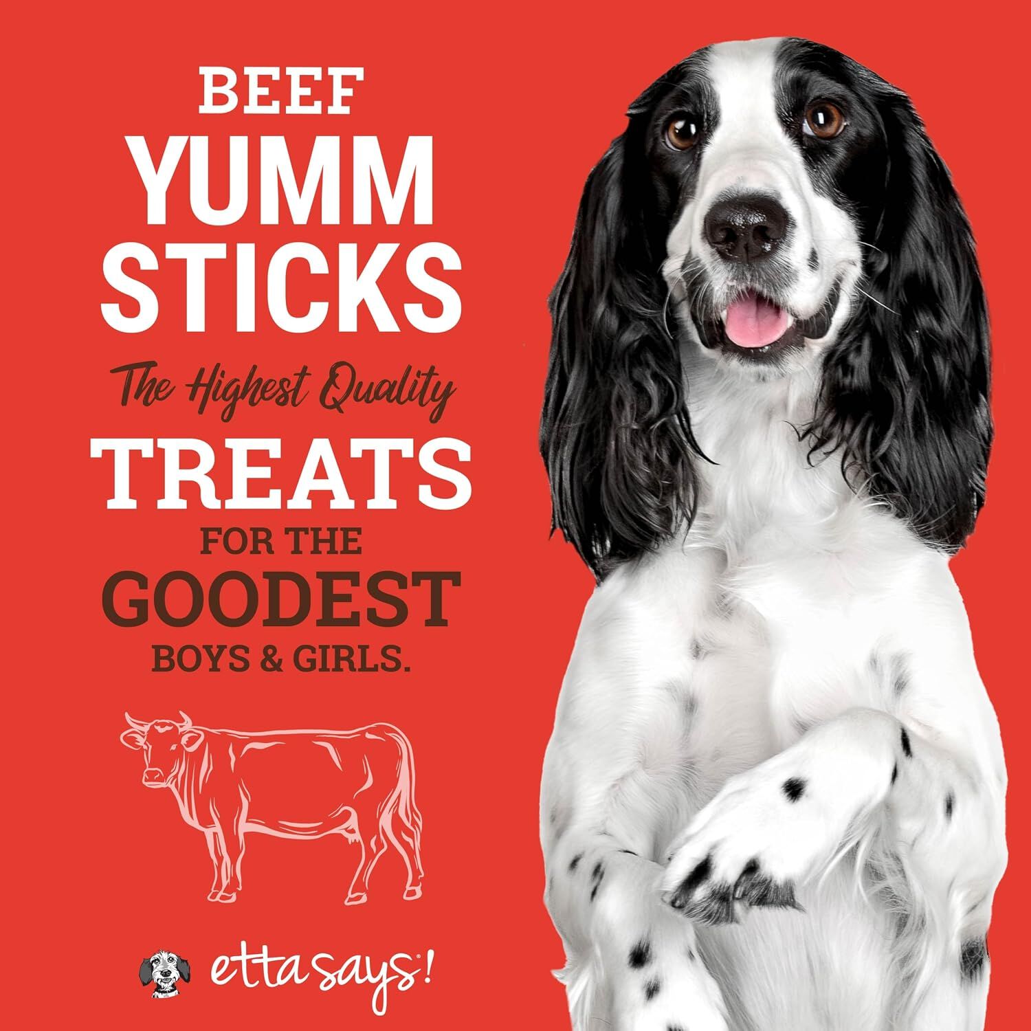 Etta Says! Beef Yumm Stick Dog Treat, 1 Count