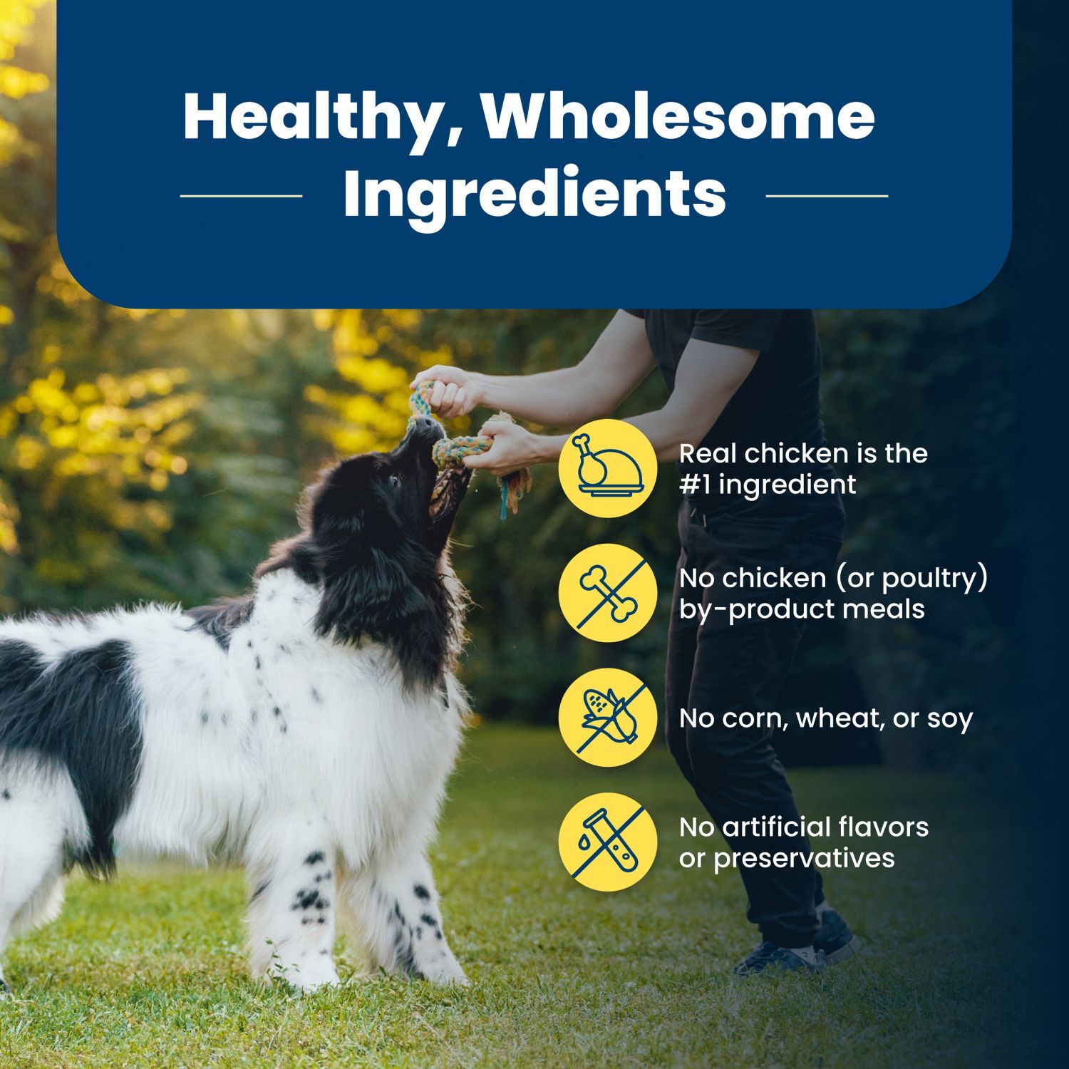 Blue Buffalo Life Protection Healthy Weight Chicken & Brown Rice Adult Dry Dog Food, 30-Lb