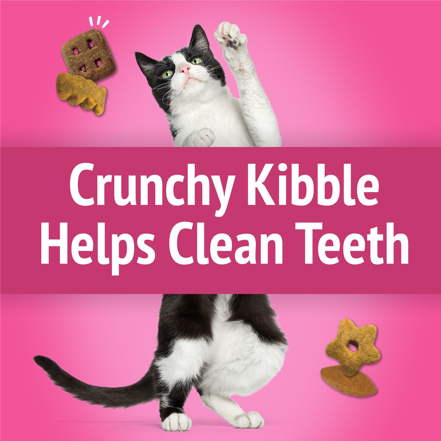 Purina Friskies Party Mix California Crunch Low-Calorie Cat Treats, 6-Oz Bag