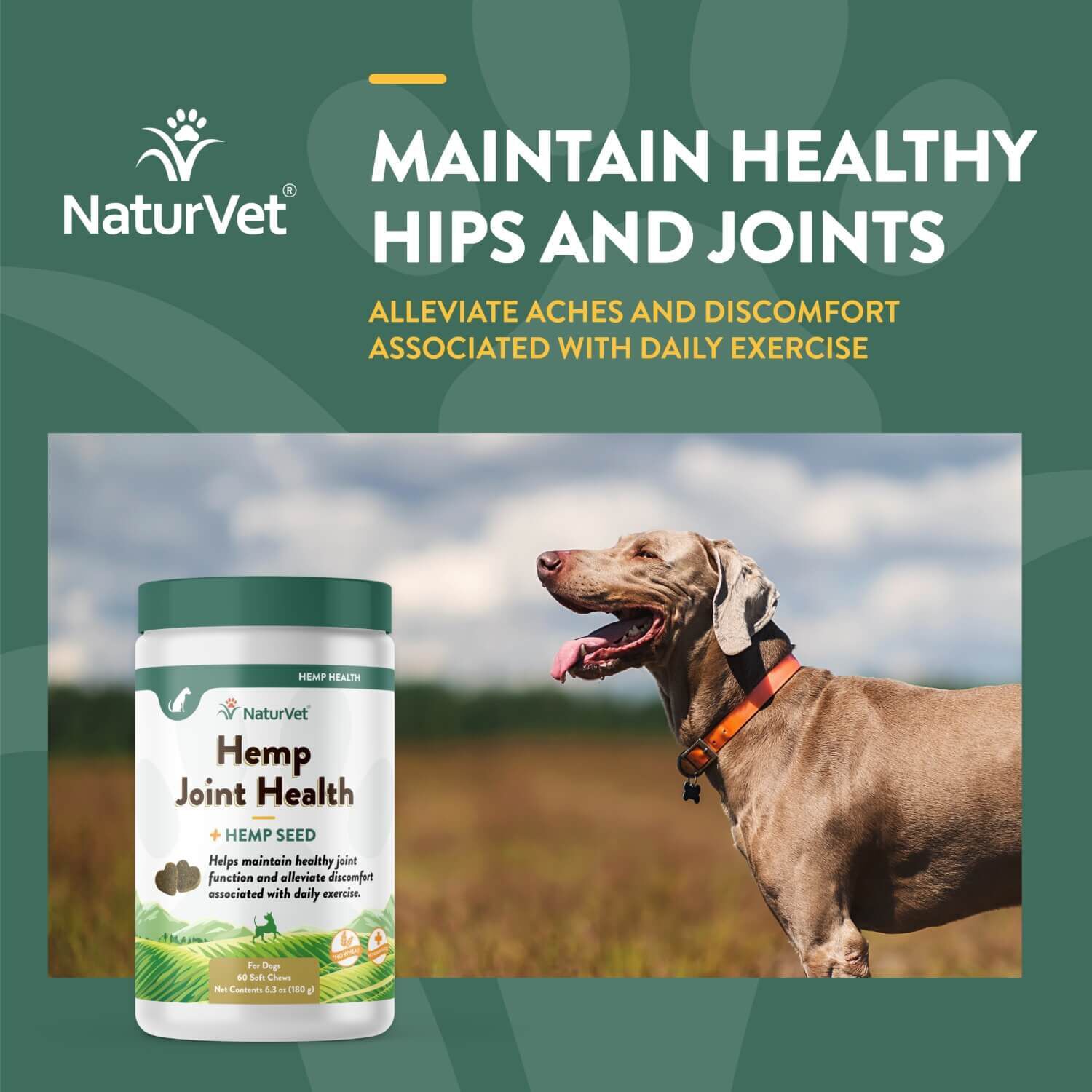Naturvet Hemp Joint Health Soft Chews For Dogs