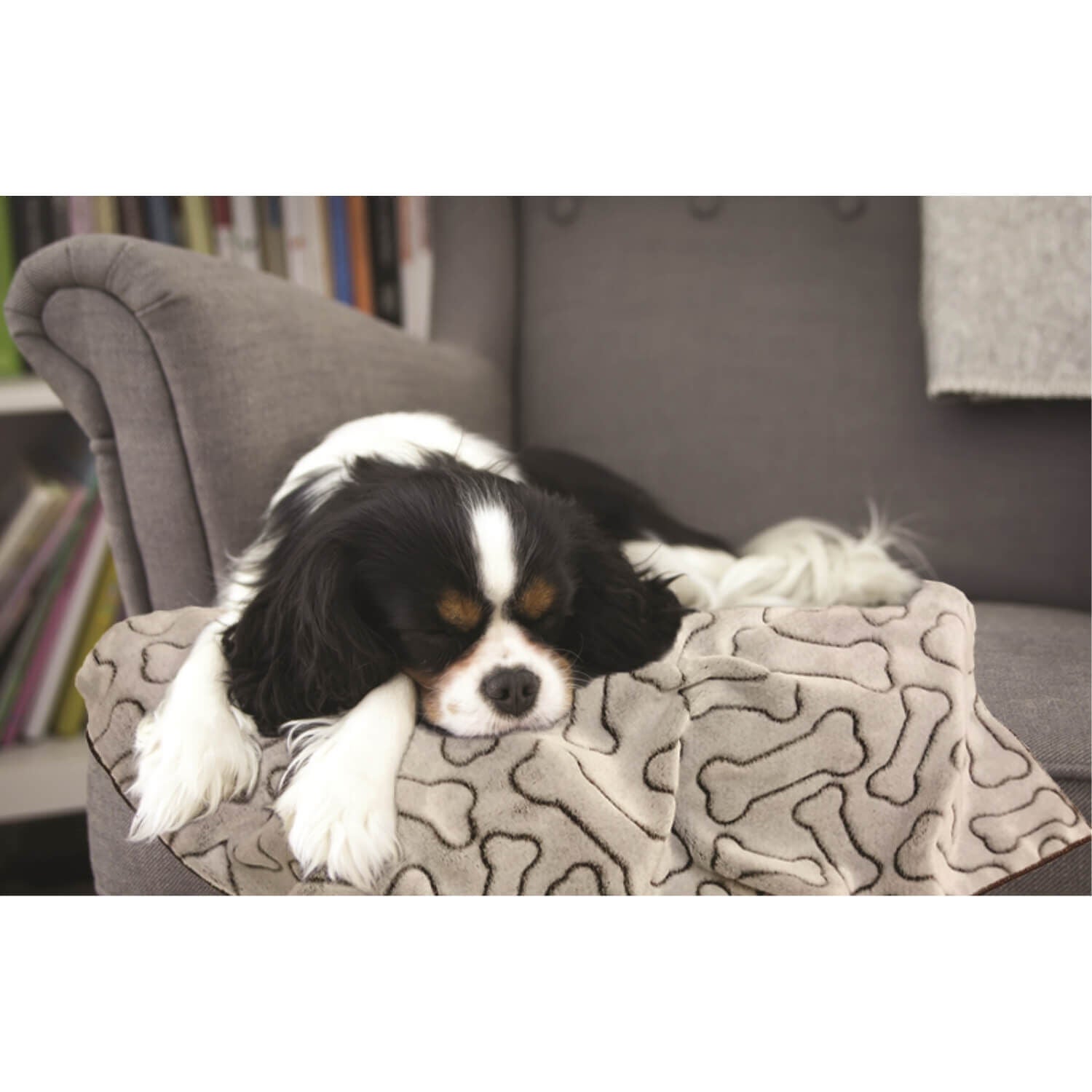 Spot Bones Gray Dog Blanket, 30X40"
