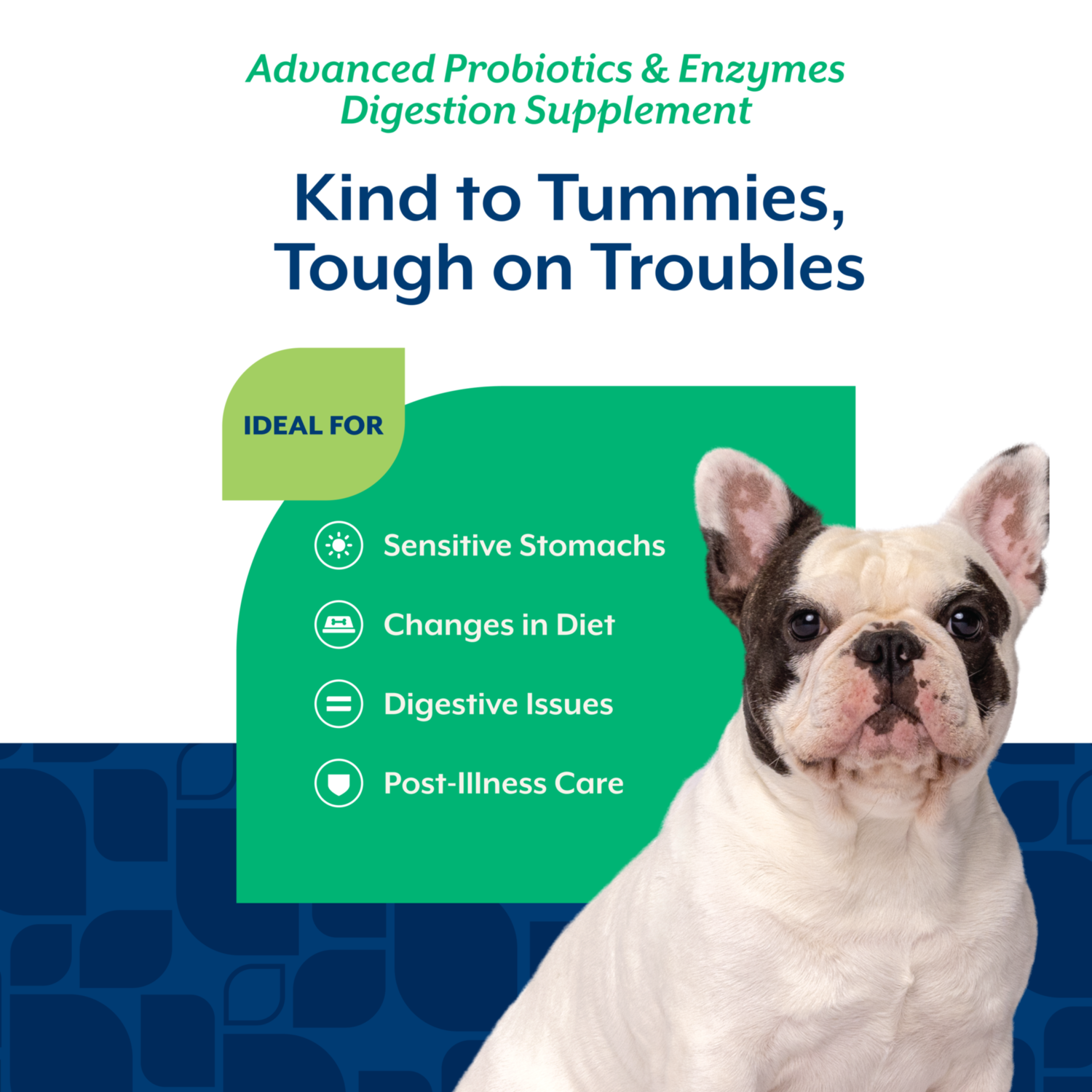 Naturvet Advanced Probiotics And Enzymes Supplement, Plus Vet Strength Pb6 Probiotic For Dogs