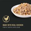 Purina Pro Plan Chicken & Cheese Entree In Gravy Cat Food