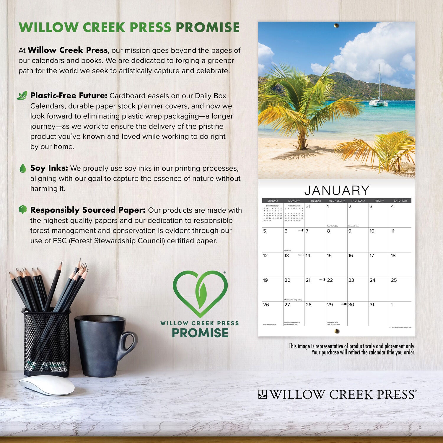 Willow Creek Press 2026 Why Cats Do That Wall Calendar