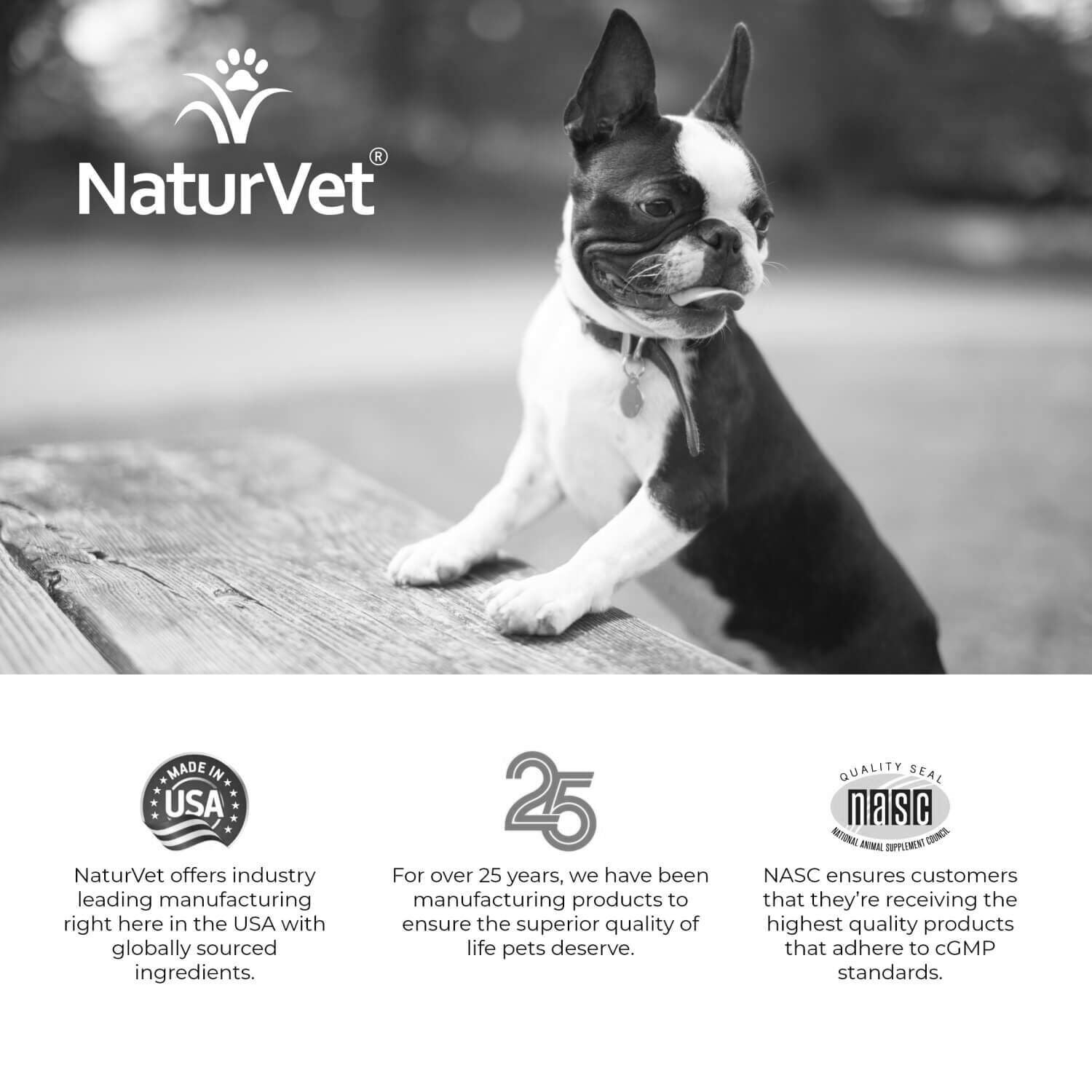 Naturvet Advanced Probiotics And Enzymes Supplement, Plus Vet Strength Pb6 Probiotic For Dogs
