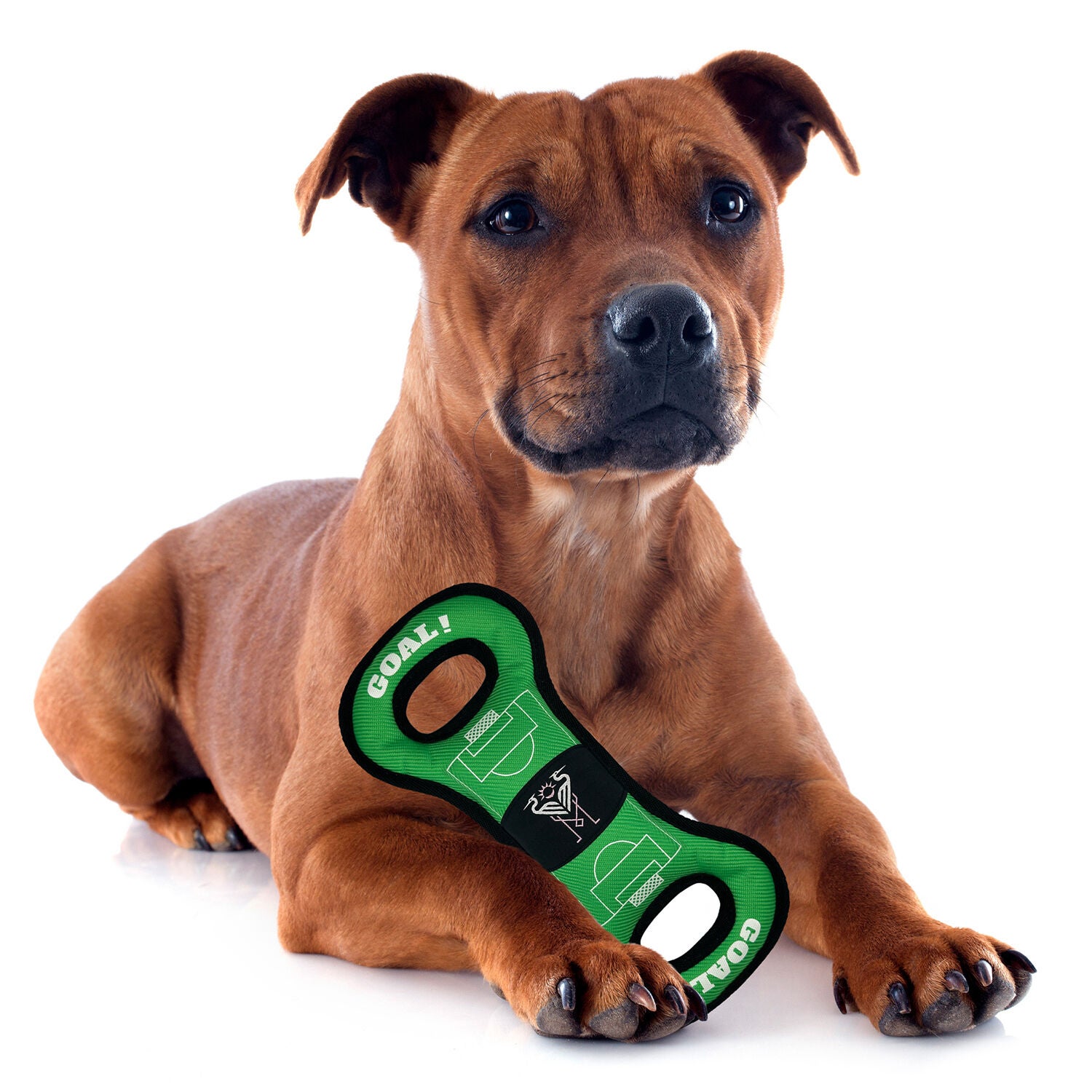 Pets First Inter Miami Soccer Field Squeaky Dog Toy, 13"