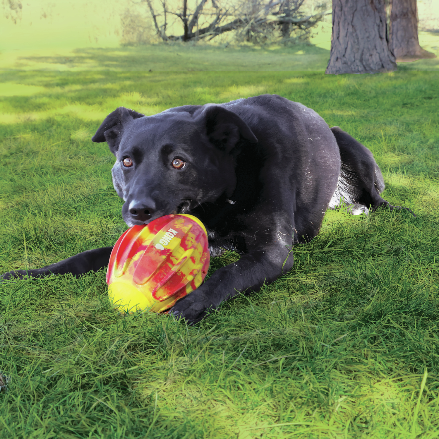 Kong Flexball Sport Football Toss & Fetch Dog Toy, 7"