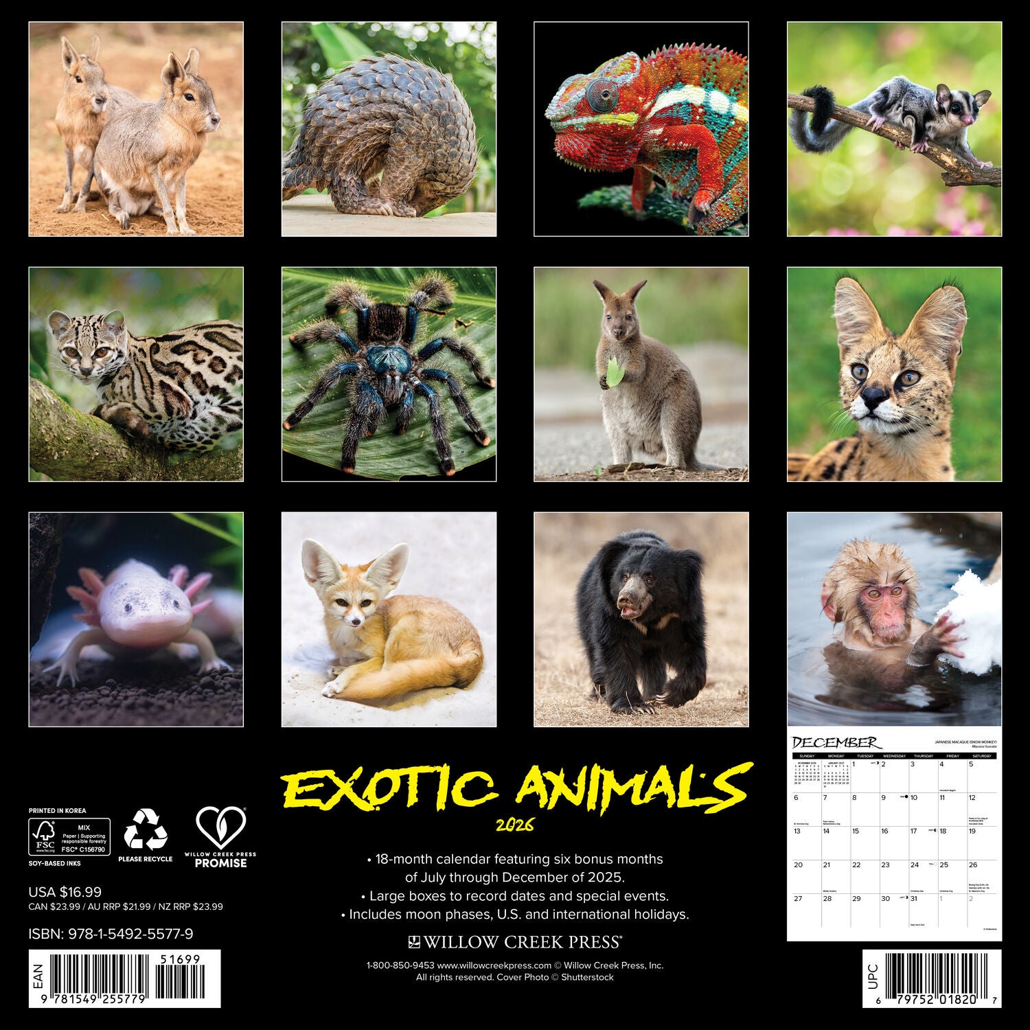 Willow Creek Press 2026 Exotic Animals Wall Calendar